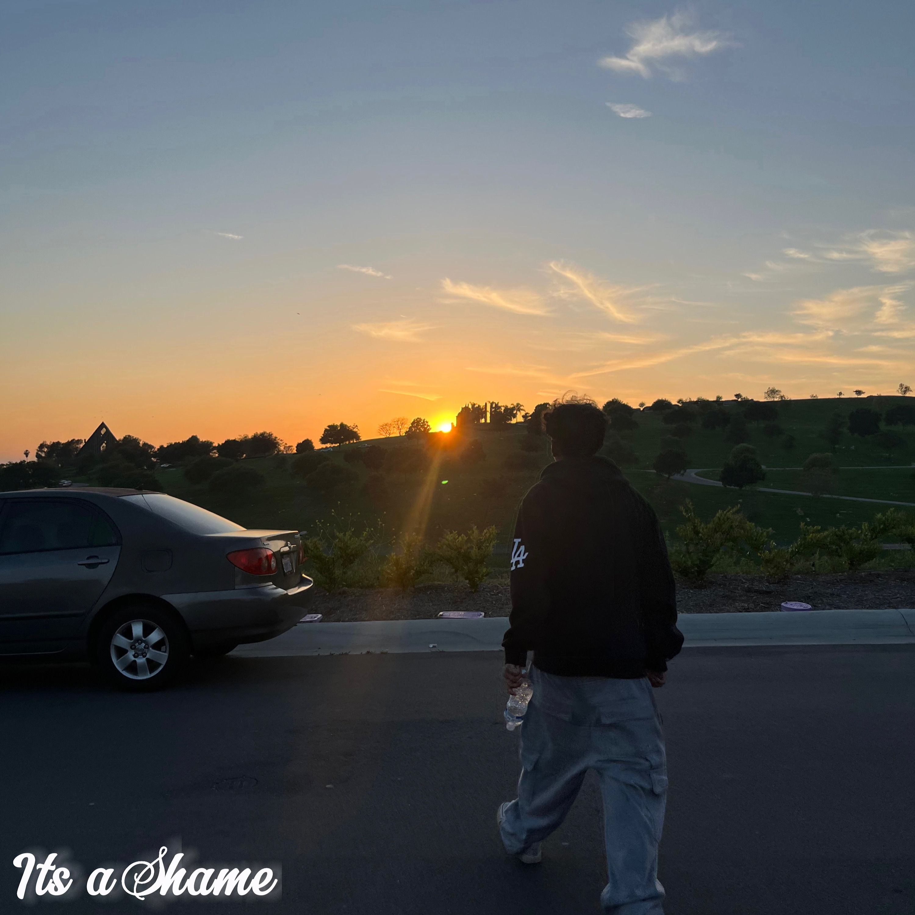 Its A Shame artwork