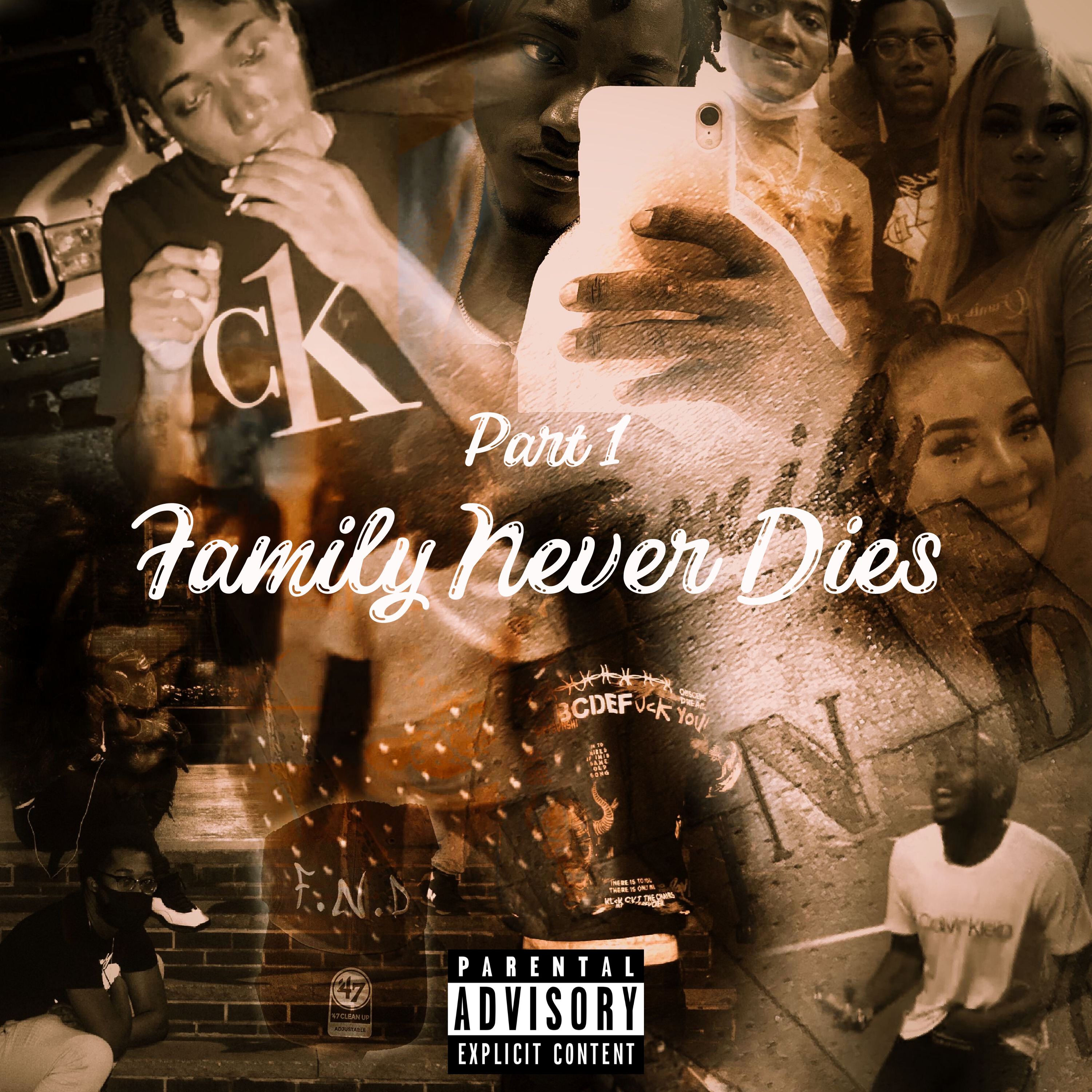 Family Never Dies Pt1 artwork