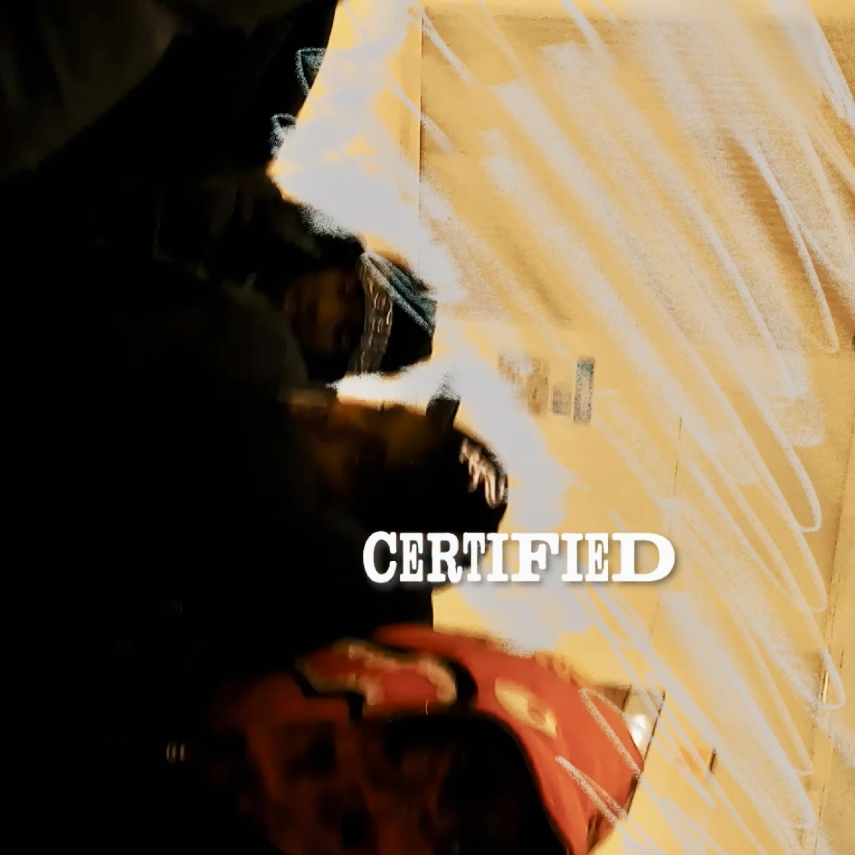 Certified (Freestyle) artwork