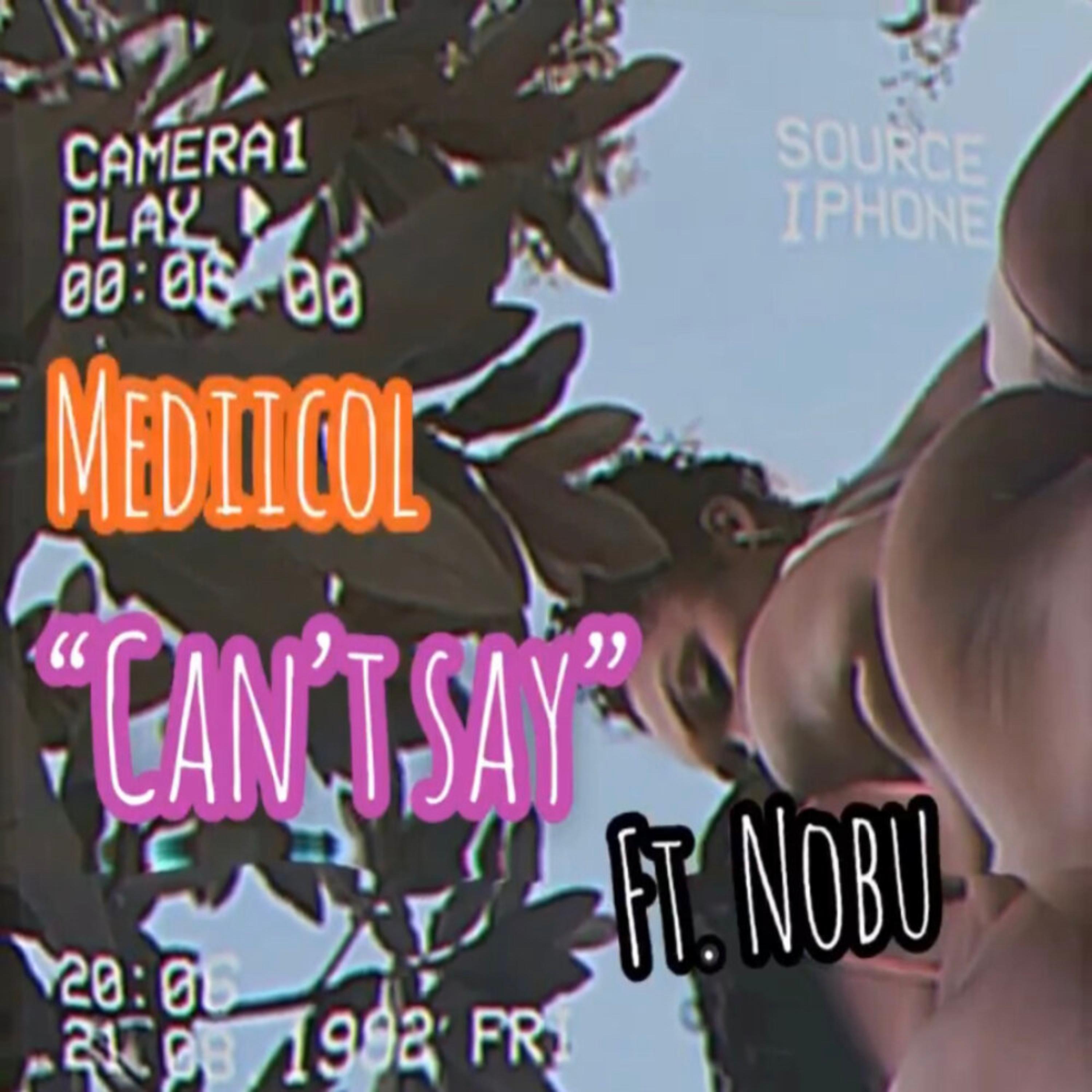Can't Say artwork
