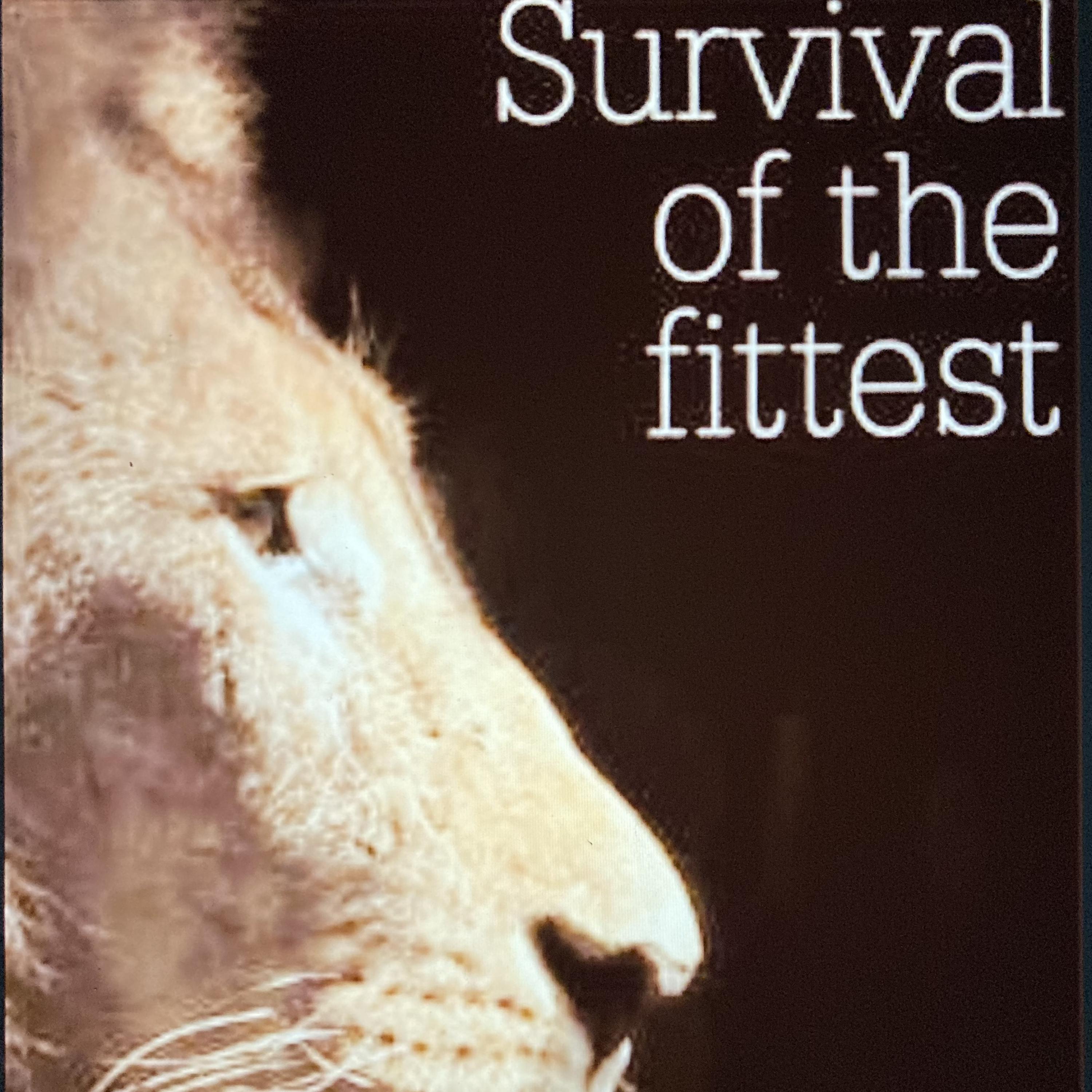 Survival Of The Fittest artwork