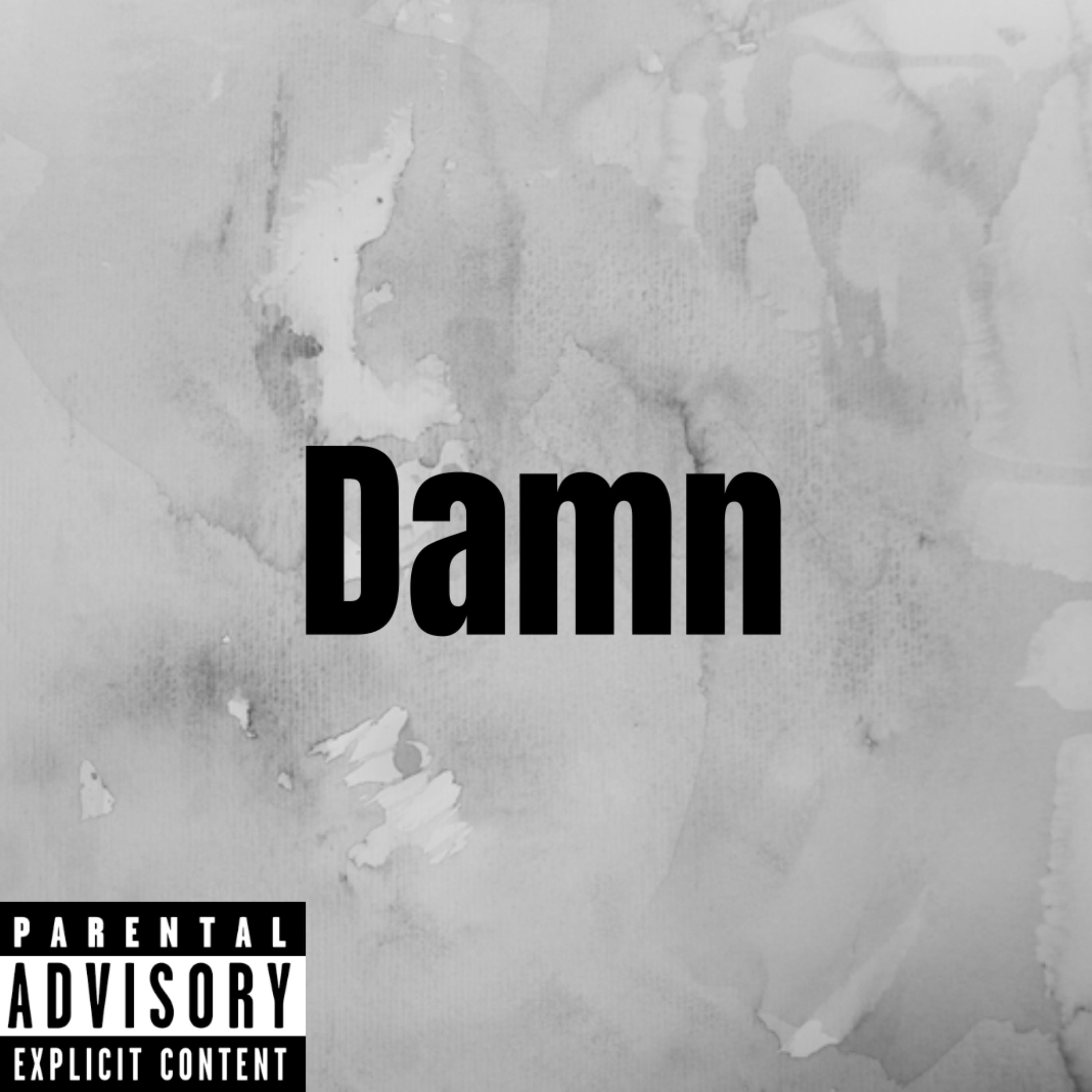 Damn artwork