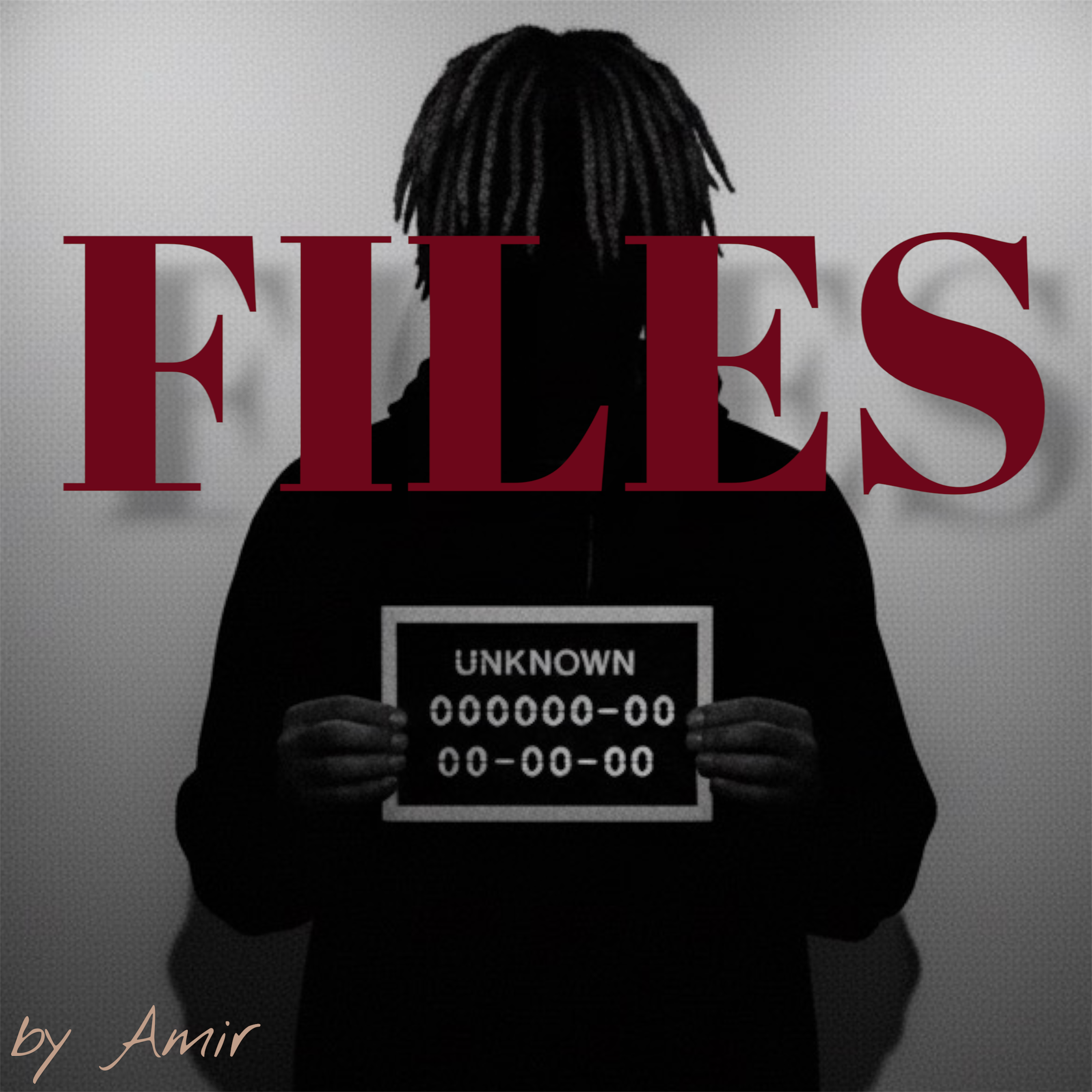 Files by Amir Tonic cover art