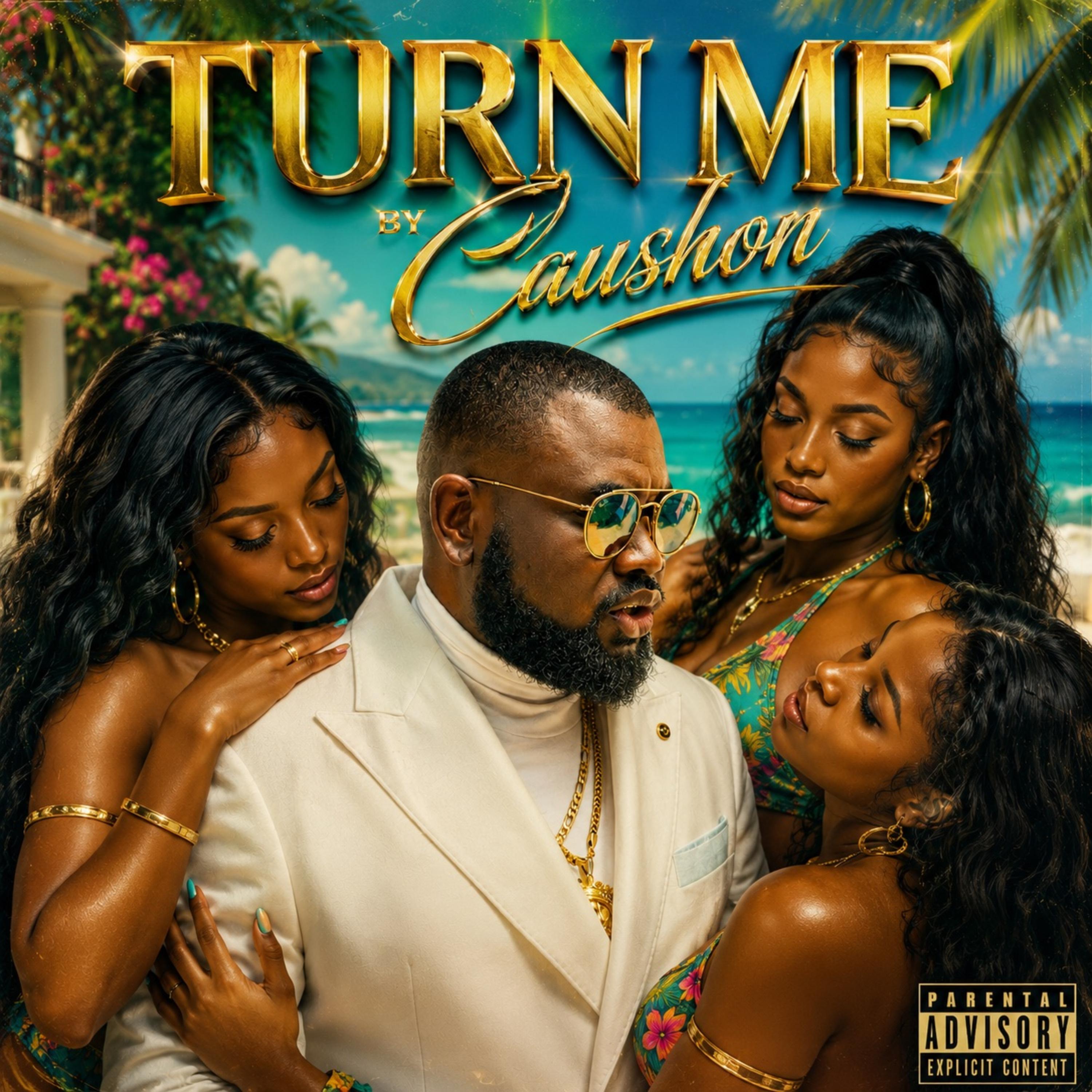 Turn Me On by Caushon cover art
