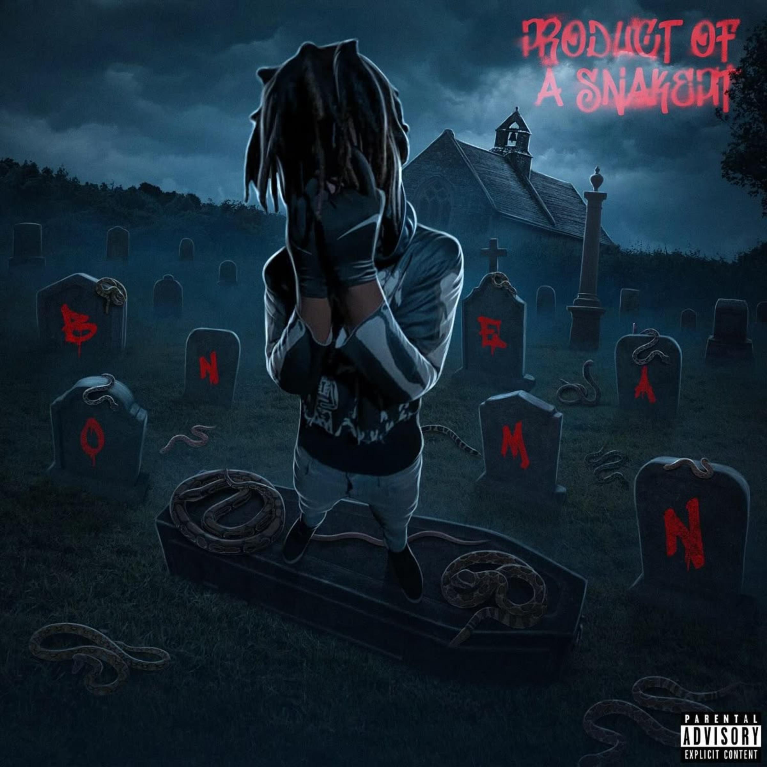 Product Of A Snake artwork