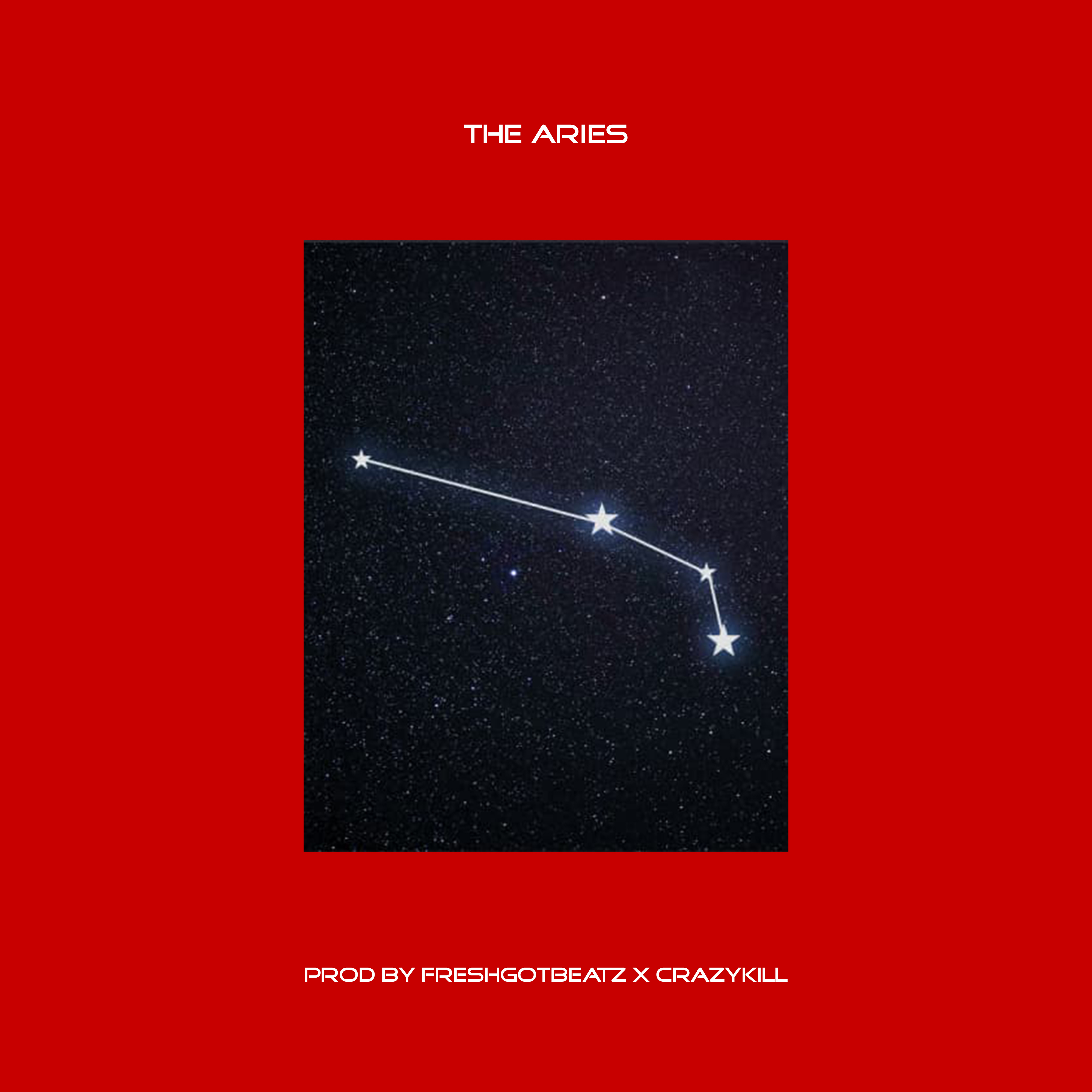 THE ARIES by Ra Matthews cover art
