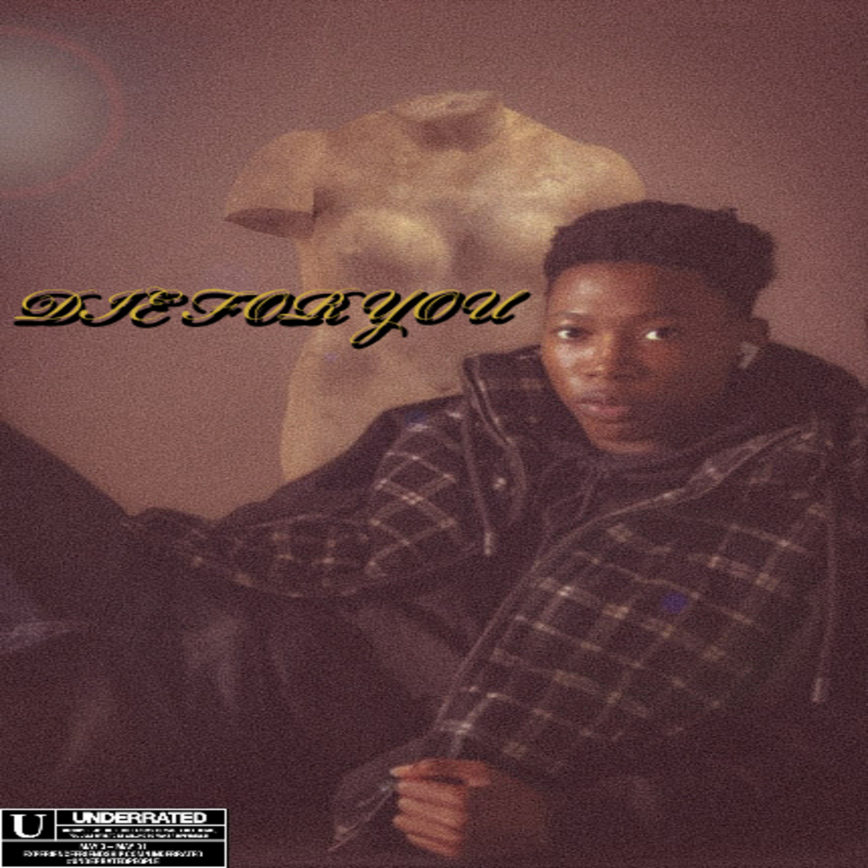 DIE FOR YOU artwork