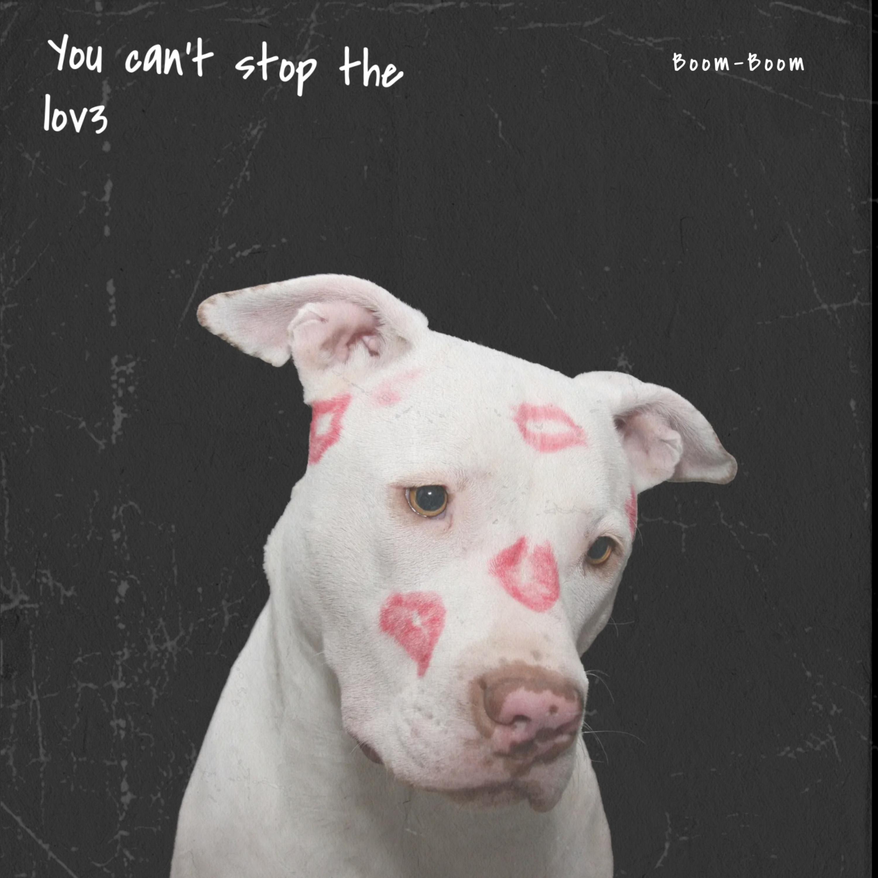 You Can't Stop The Lov3 artwork