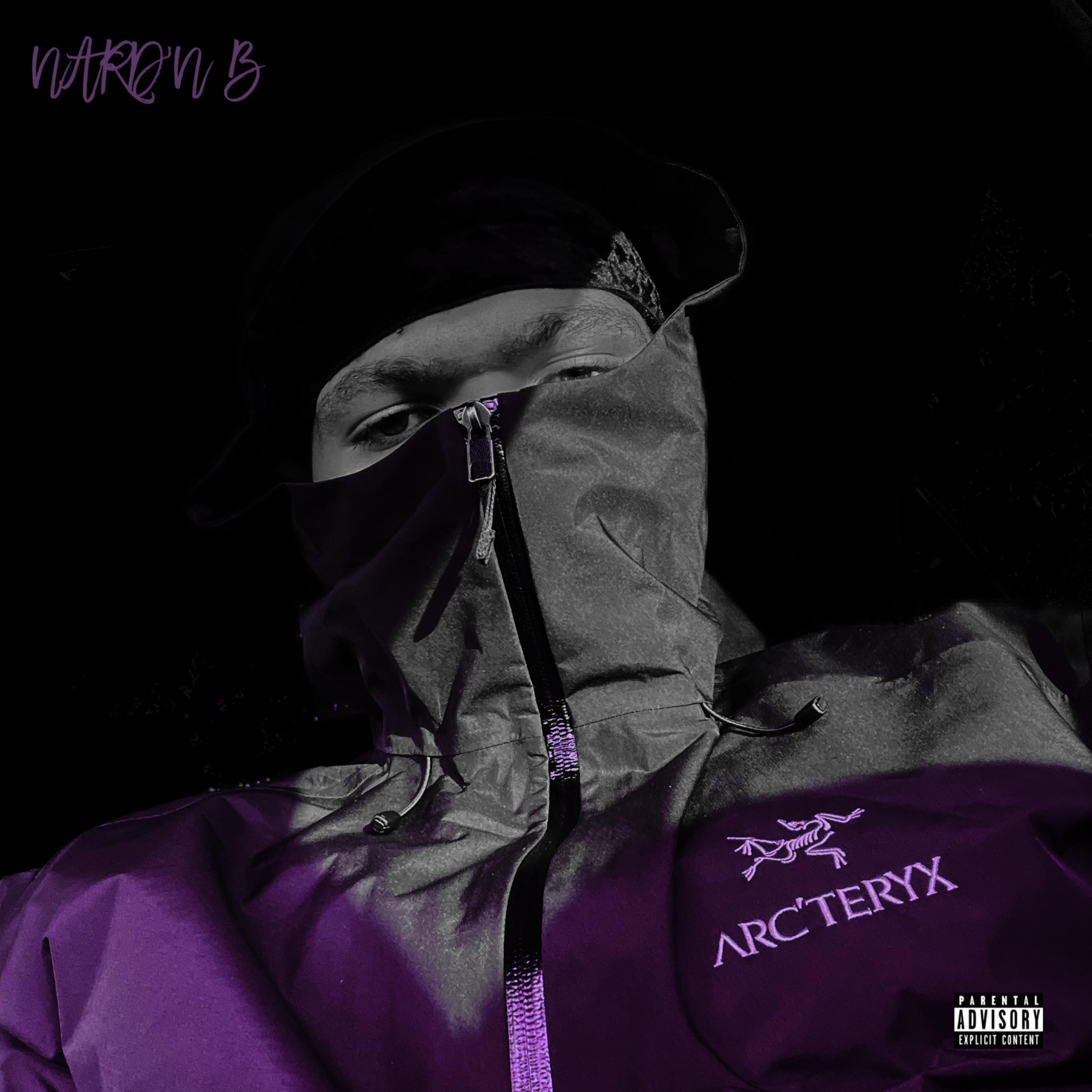 Nxrdnb (The Lost Files) by NewMoney Nard cover art