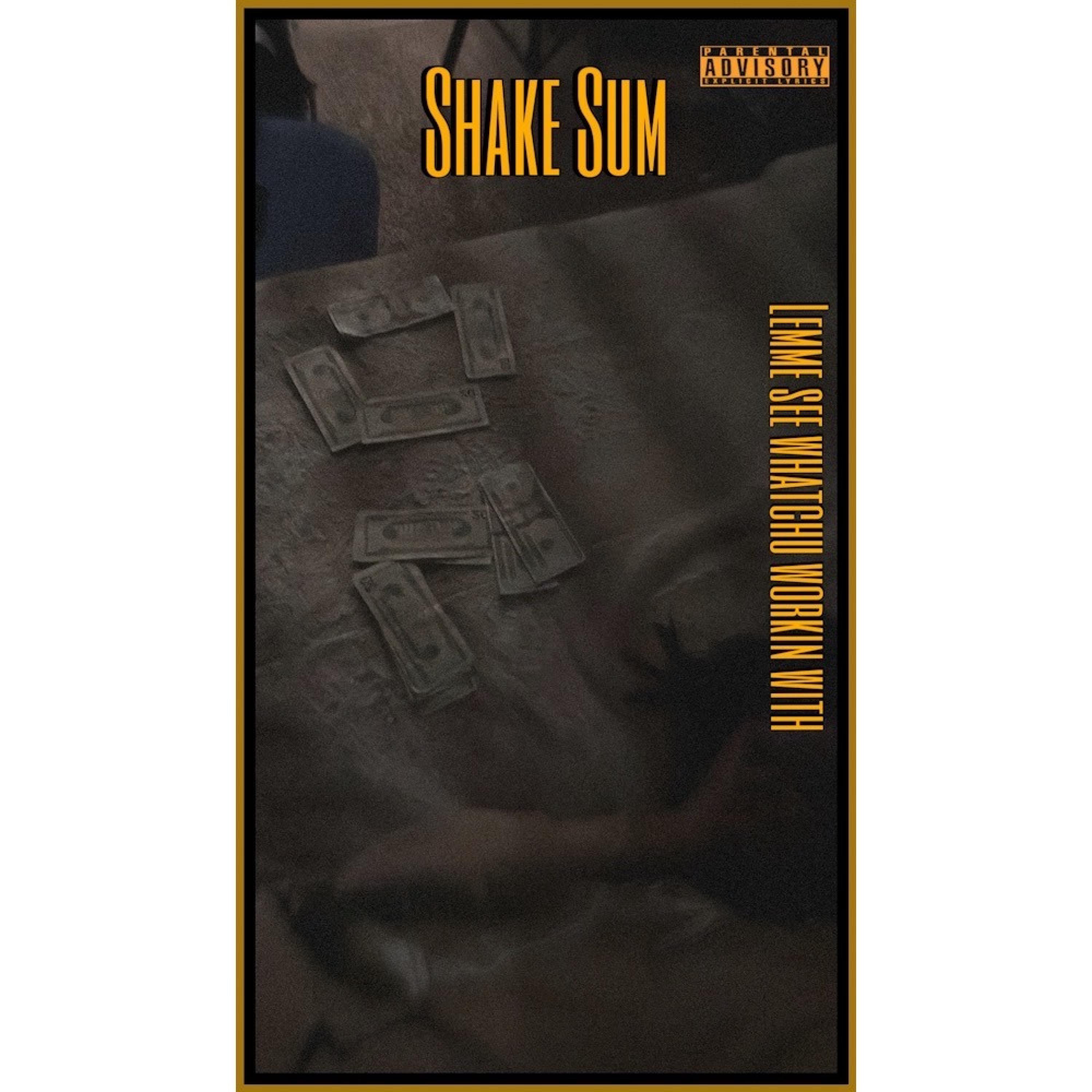 Shake Sum (What You Workin With?) artwork