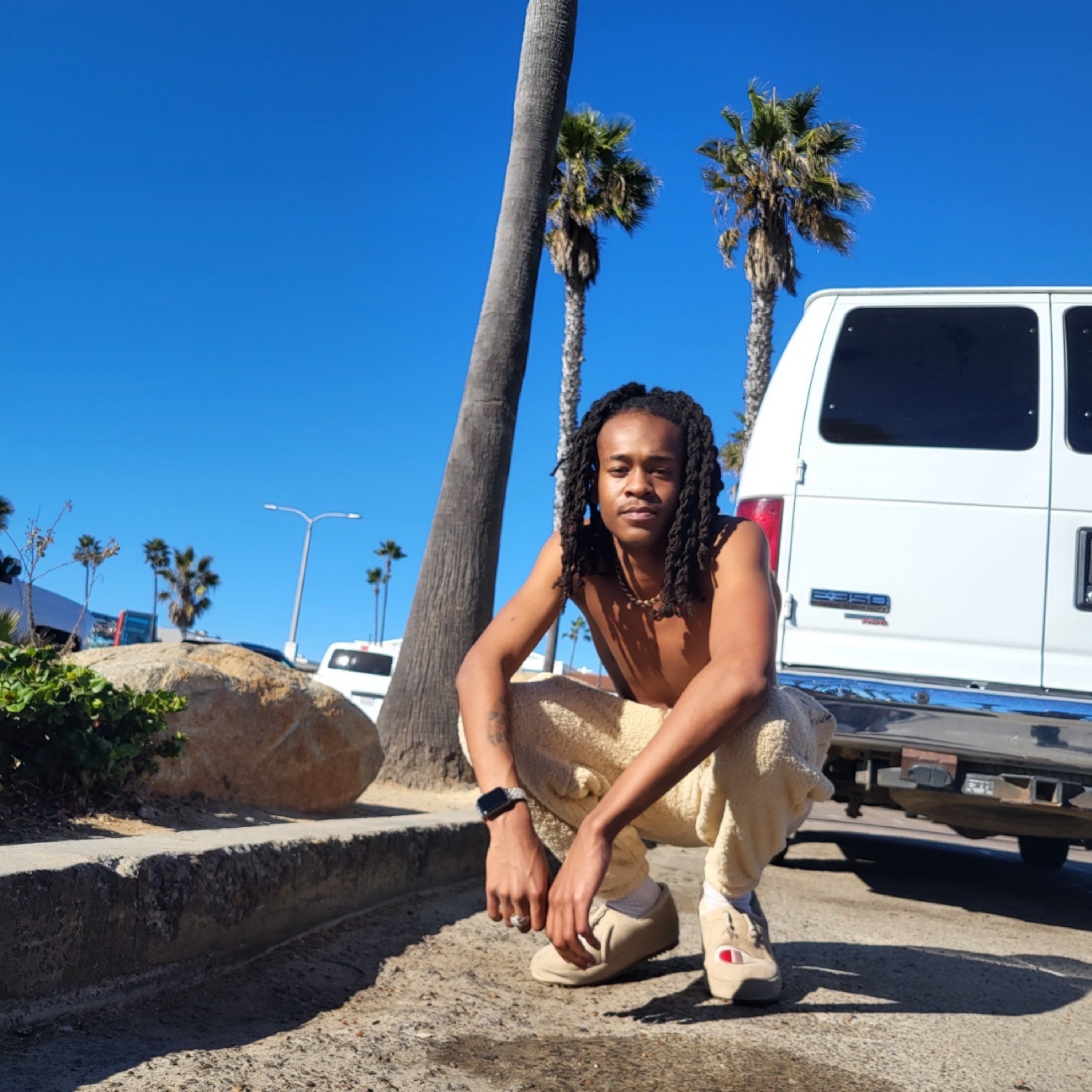 What You Want artwork