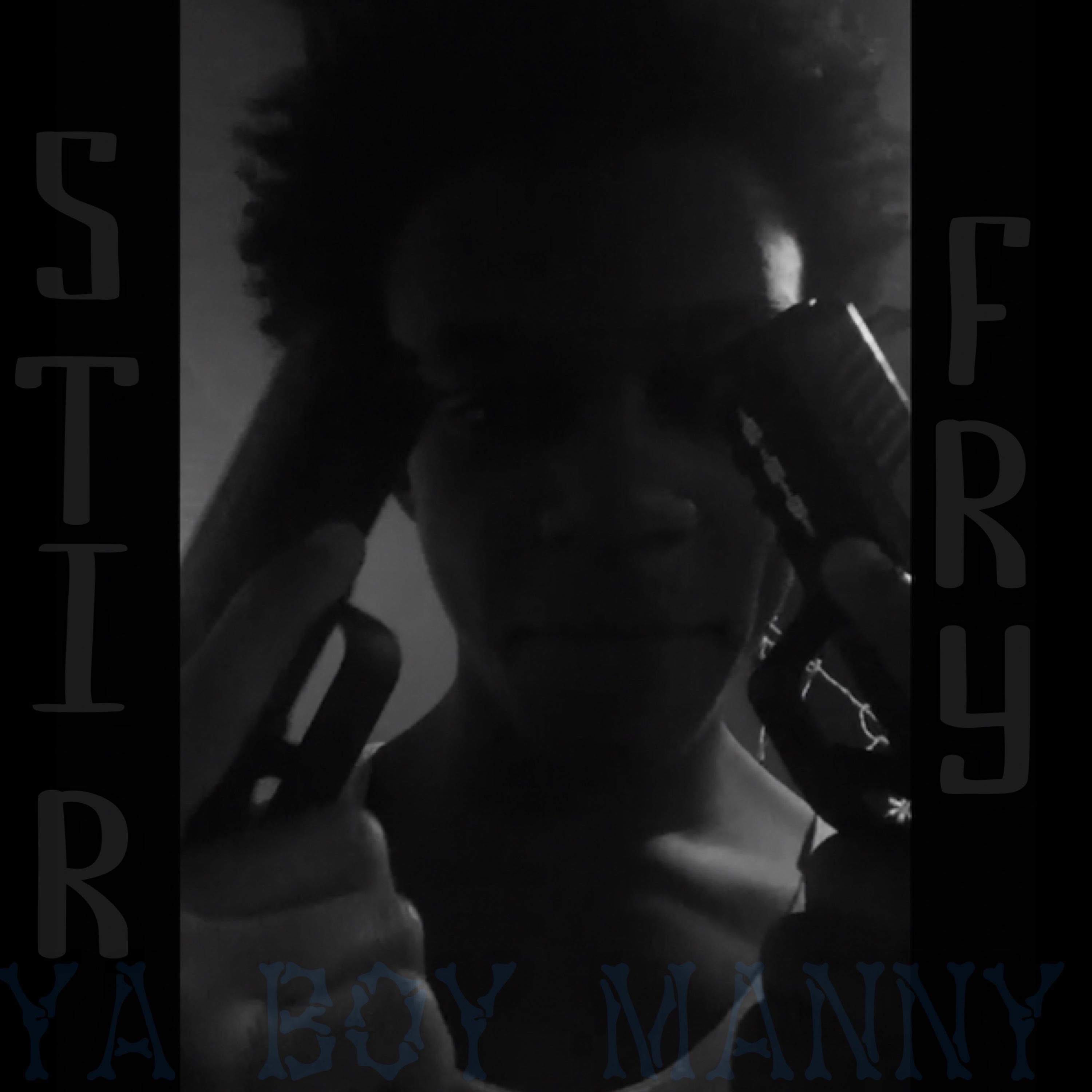 Stir Fry artwork
