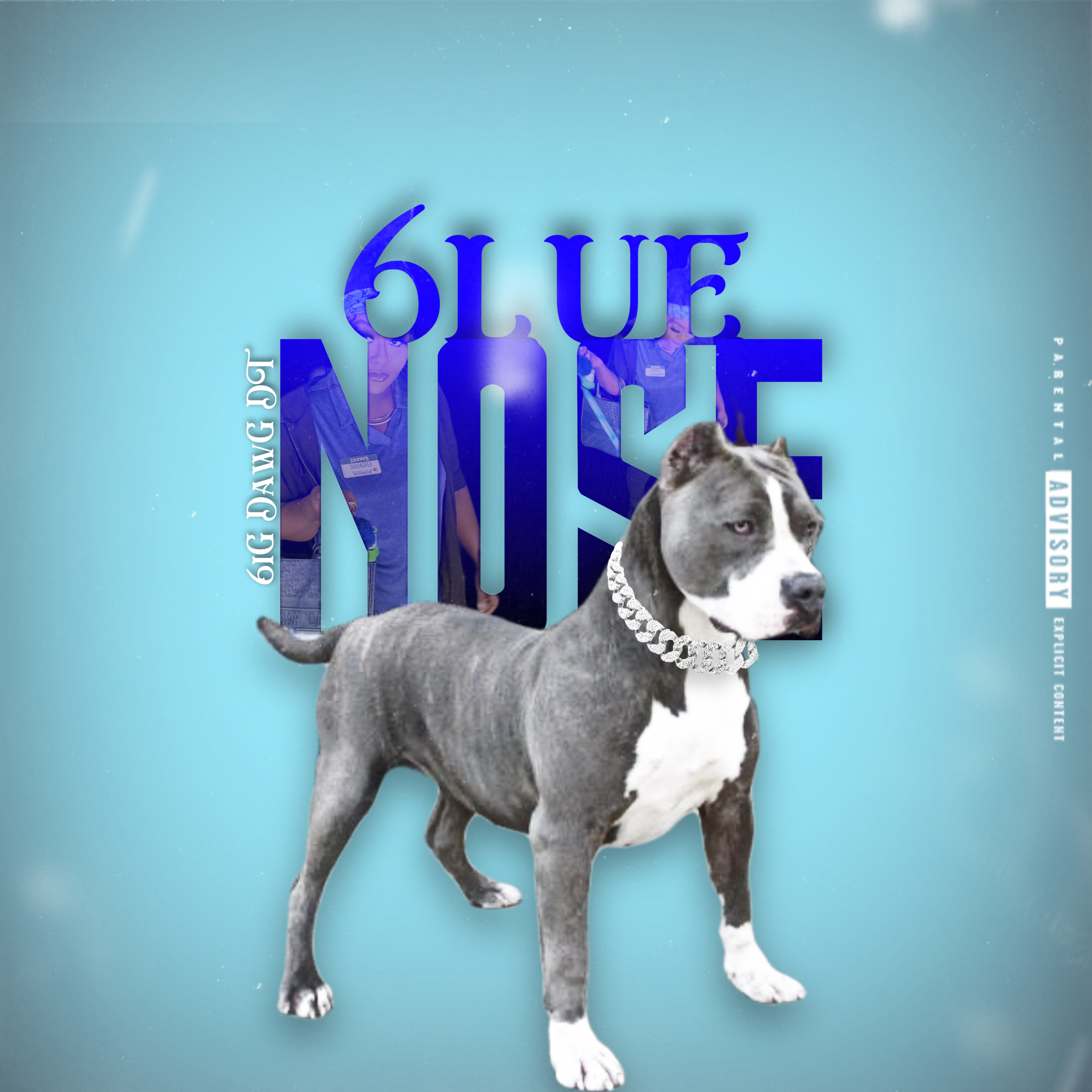 6lue Nose by 6iG DawG DT cover art