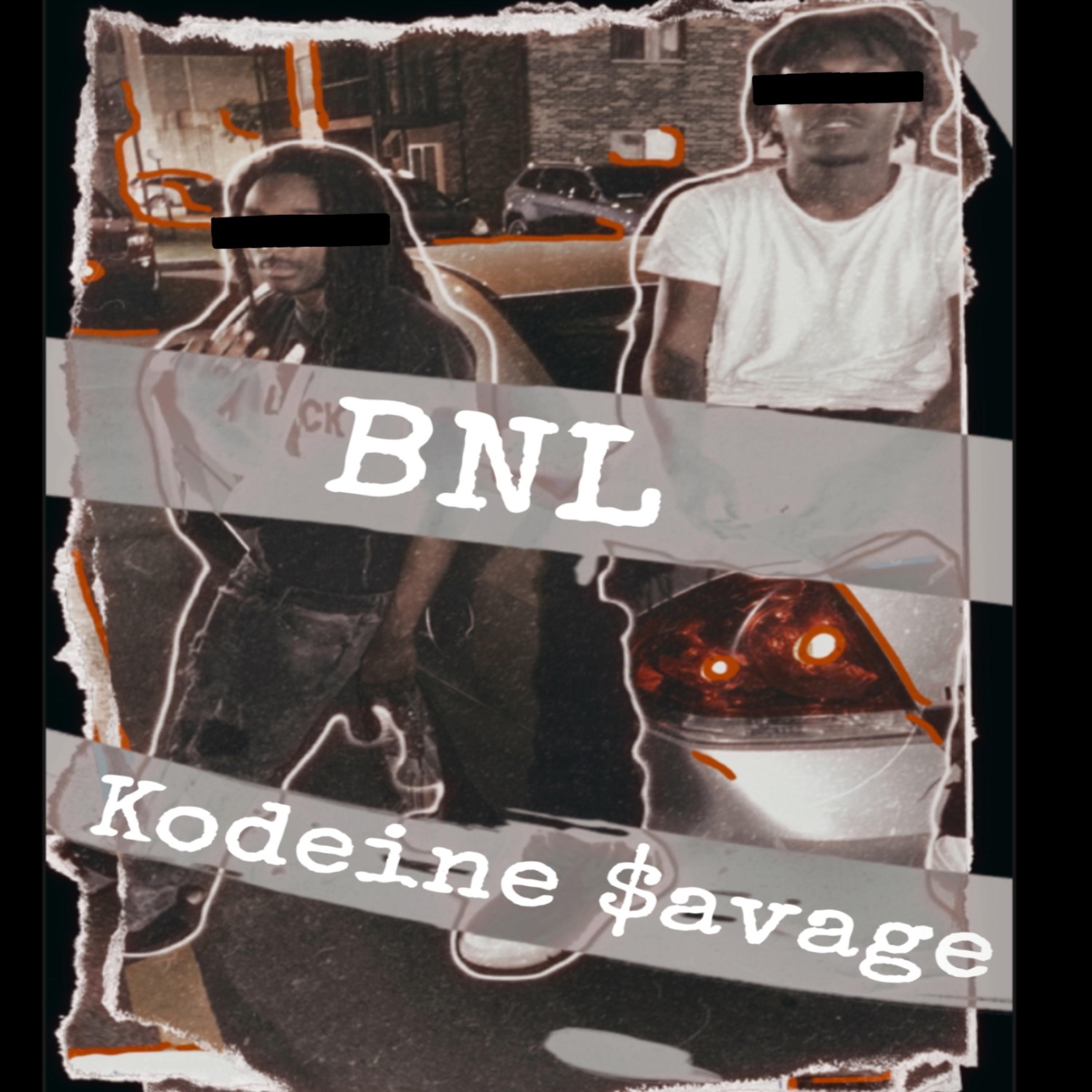 BNL artwork