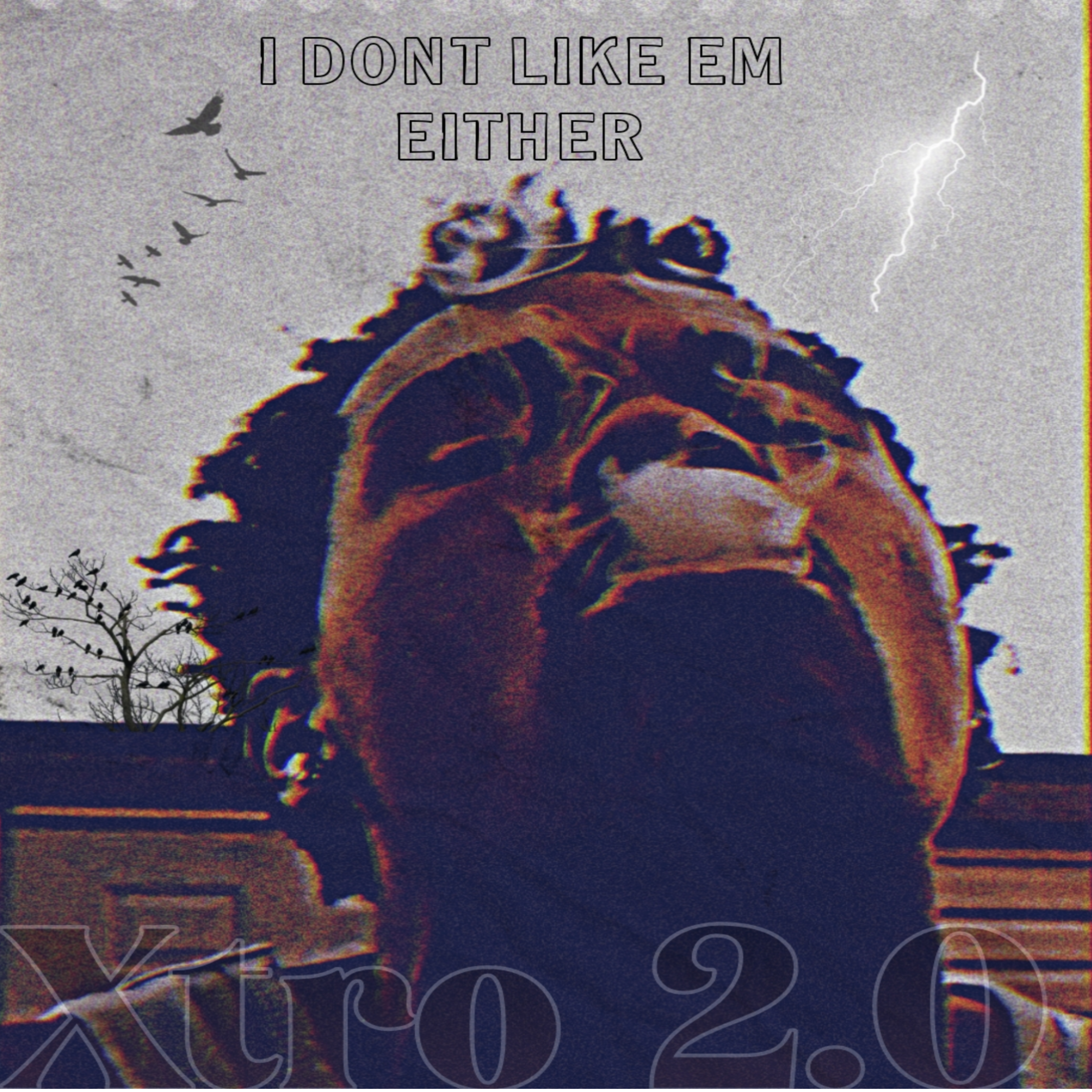 I DONT LIKE EM EITHER artwork