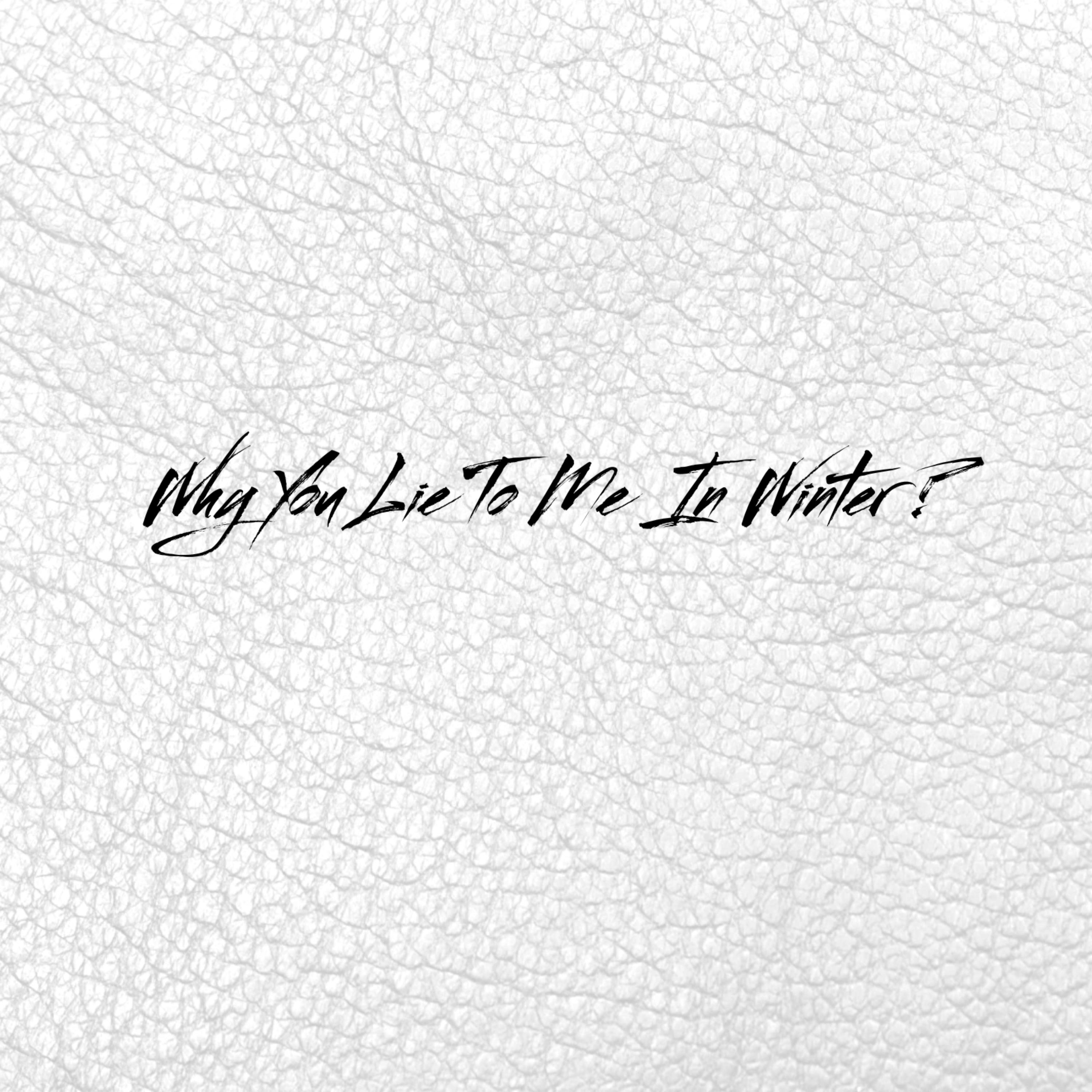 Why You Lie To Me In Winter ? artwork