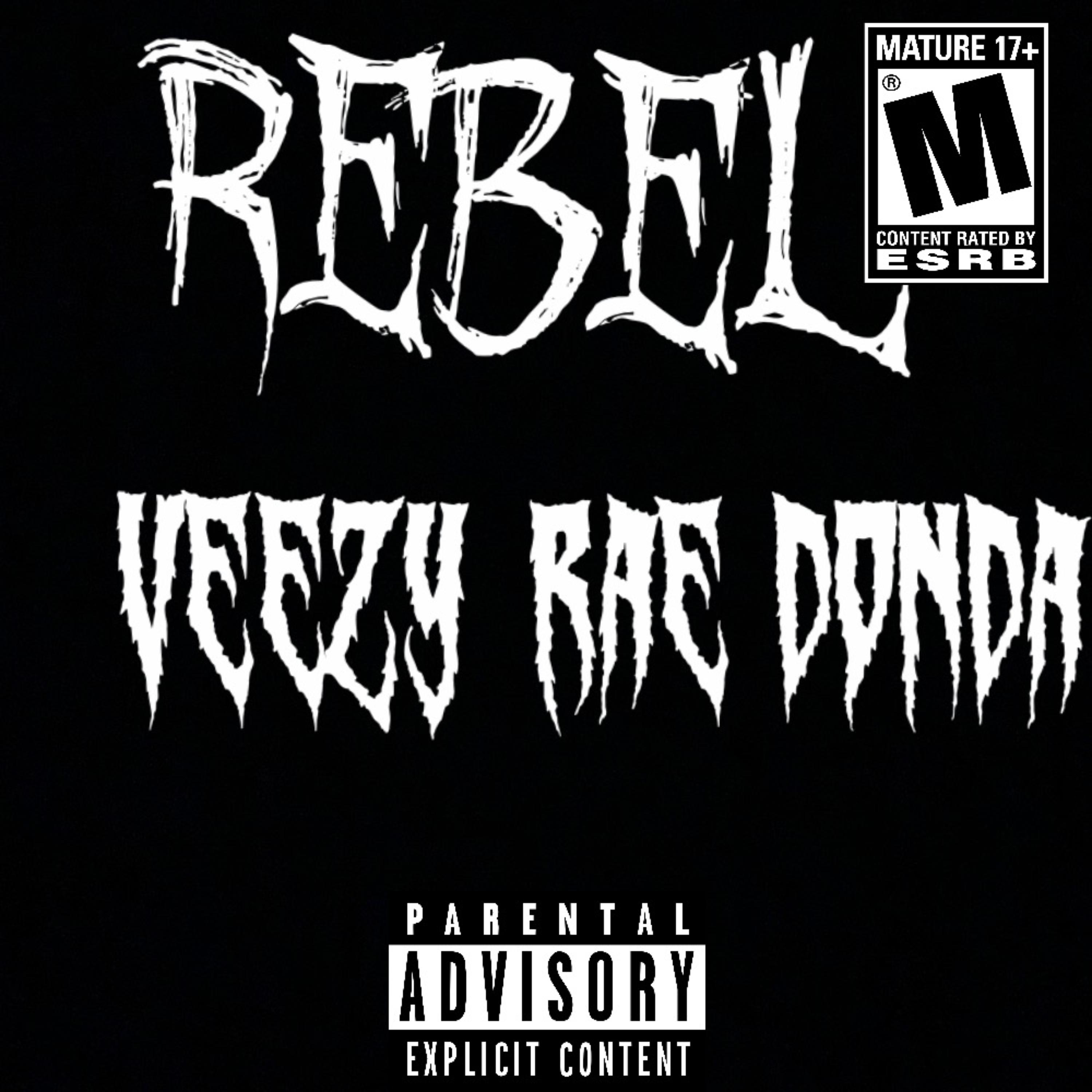 Rebel artwork