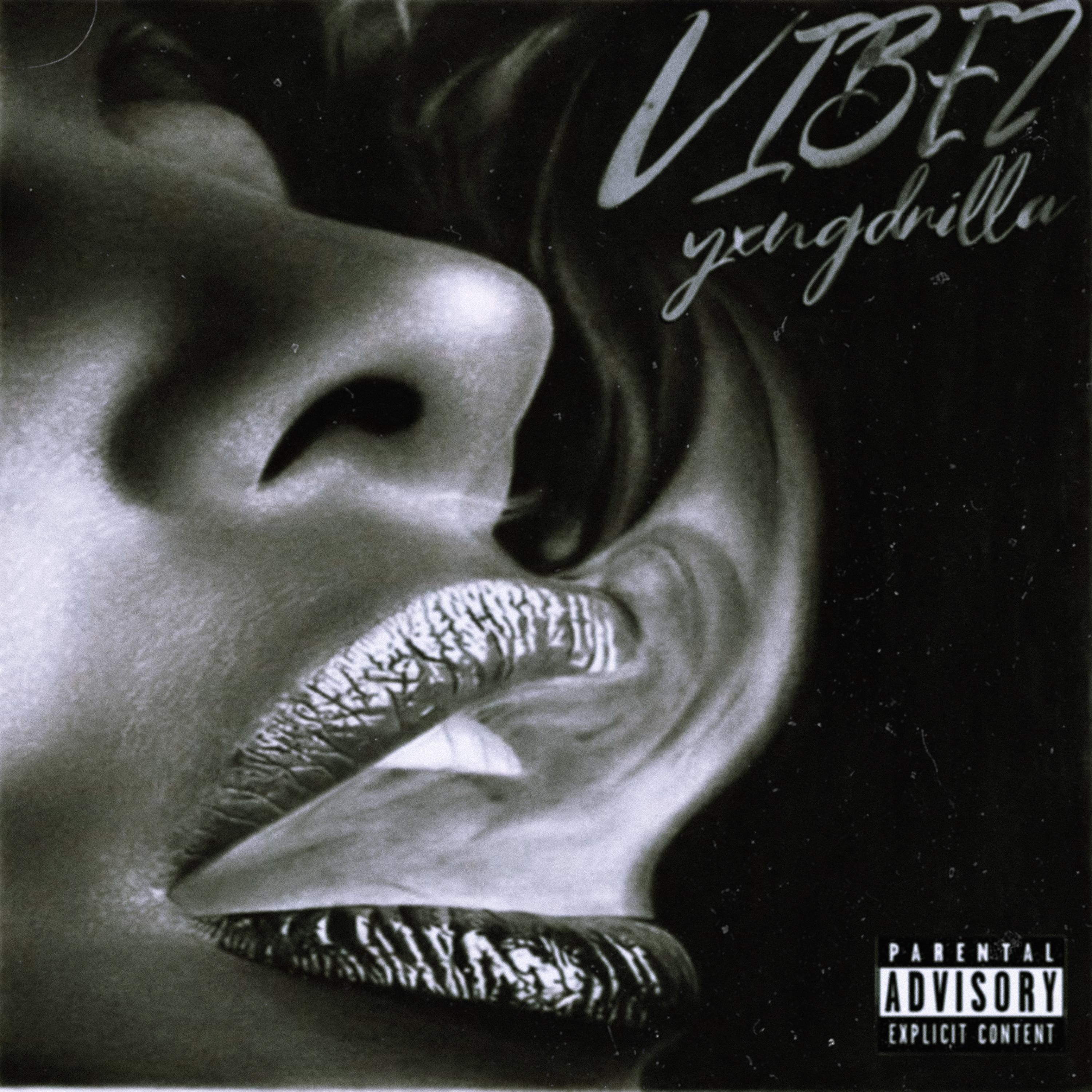 Vibez artwork
