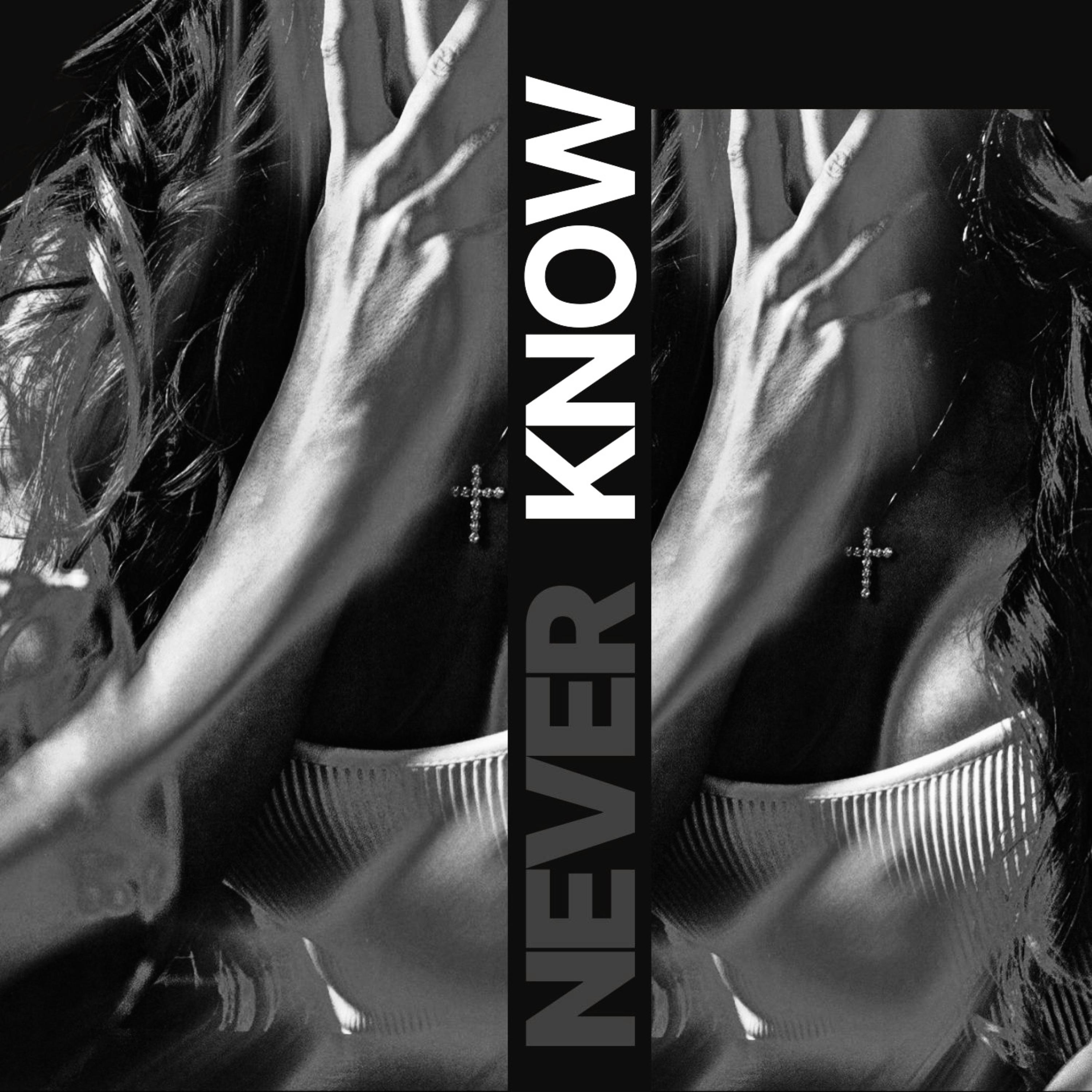 Never Know artwork