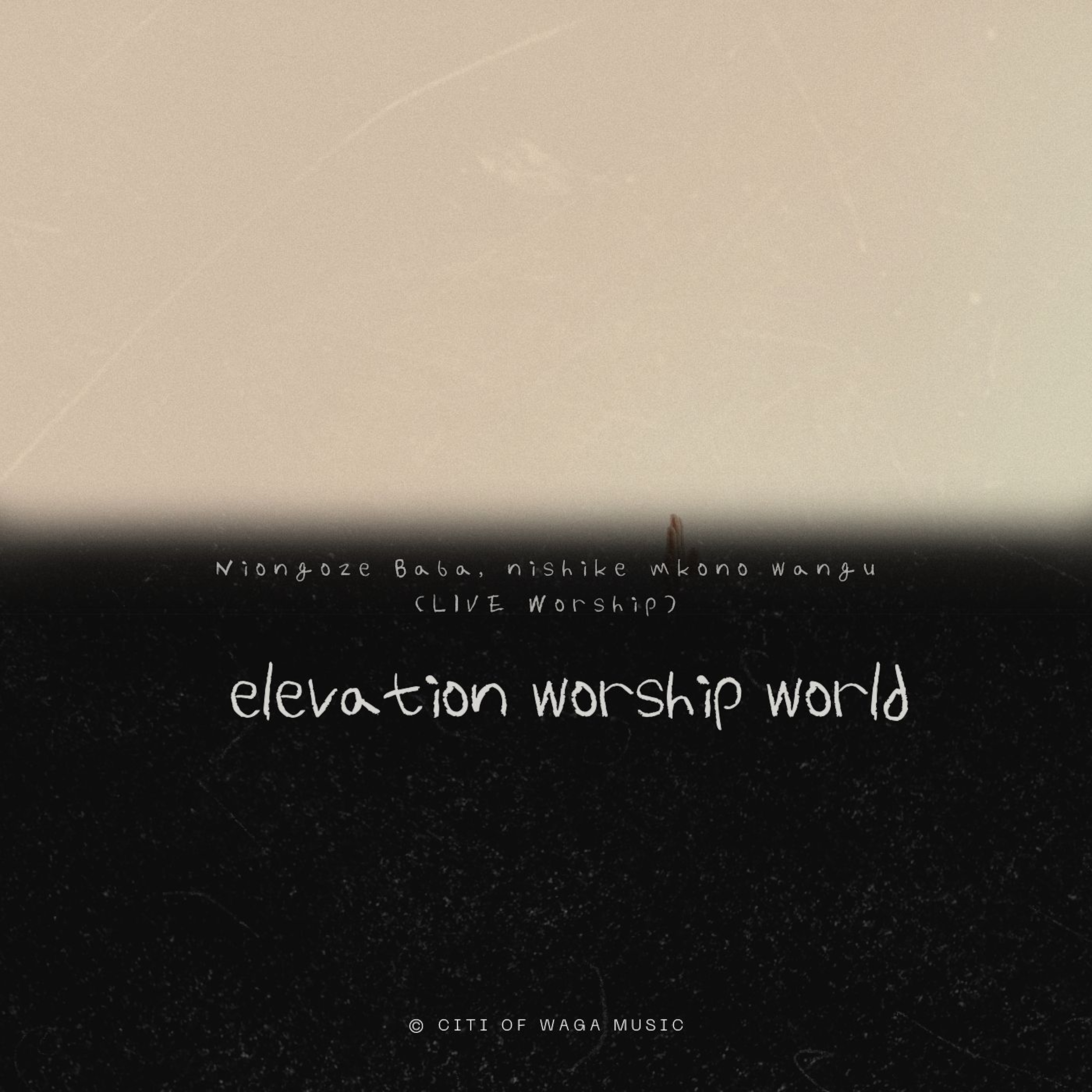 Niongoze Baba, Nishike Mkono Wangu (LIVE Worship) artwork