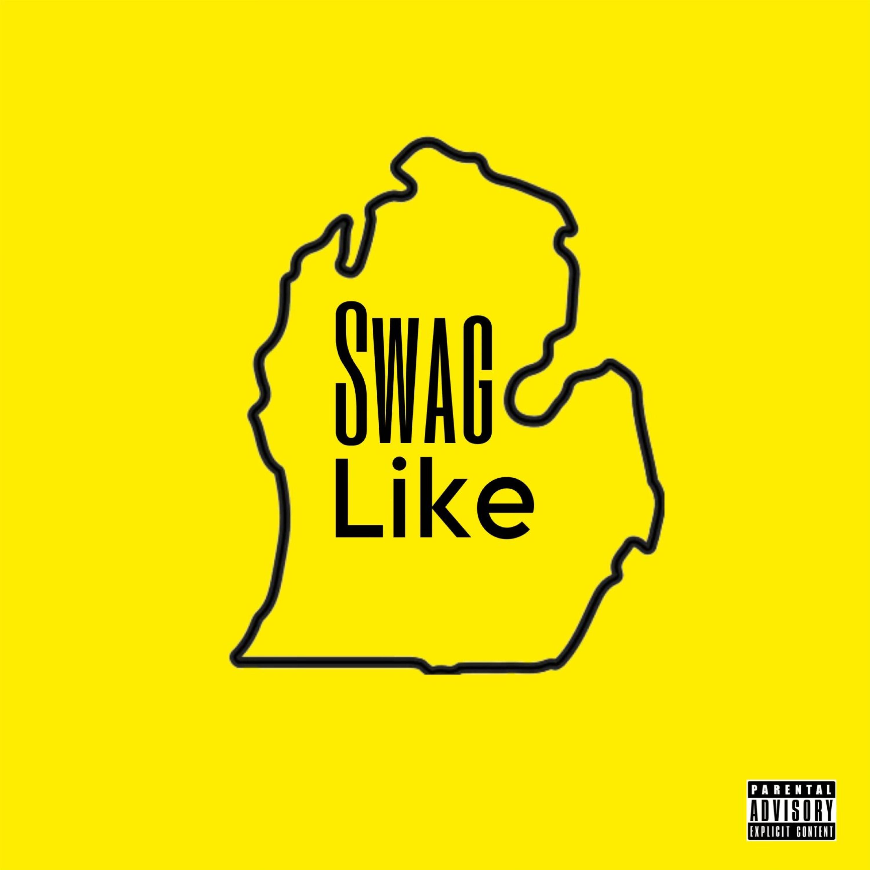 Swag Like Michigan artwork