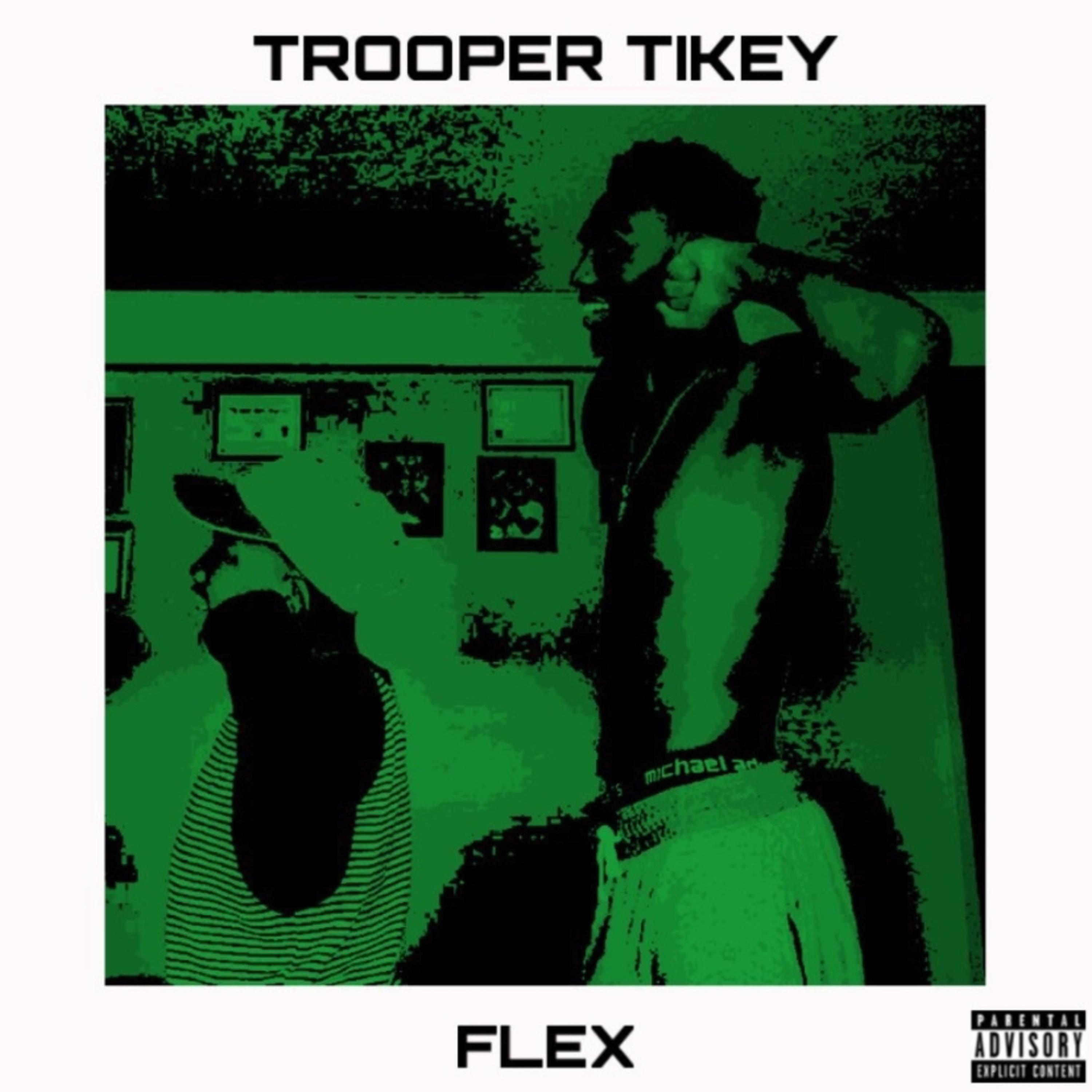 Flex artwork