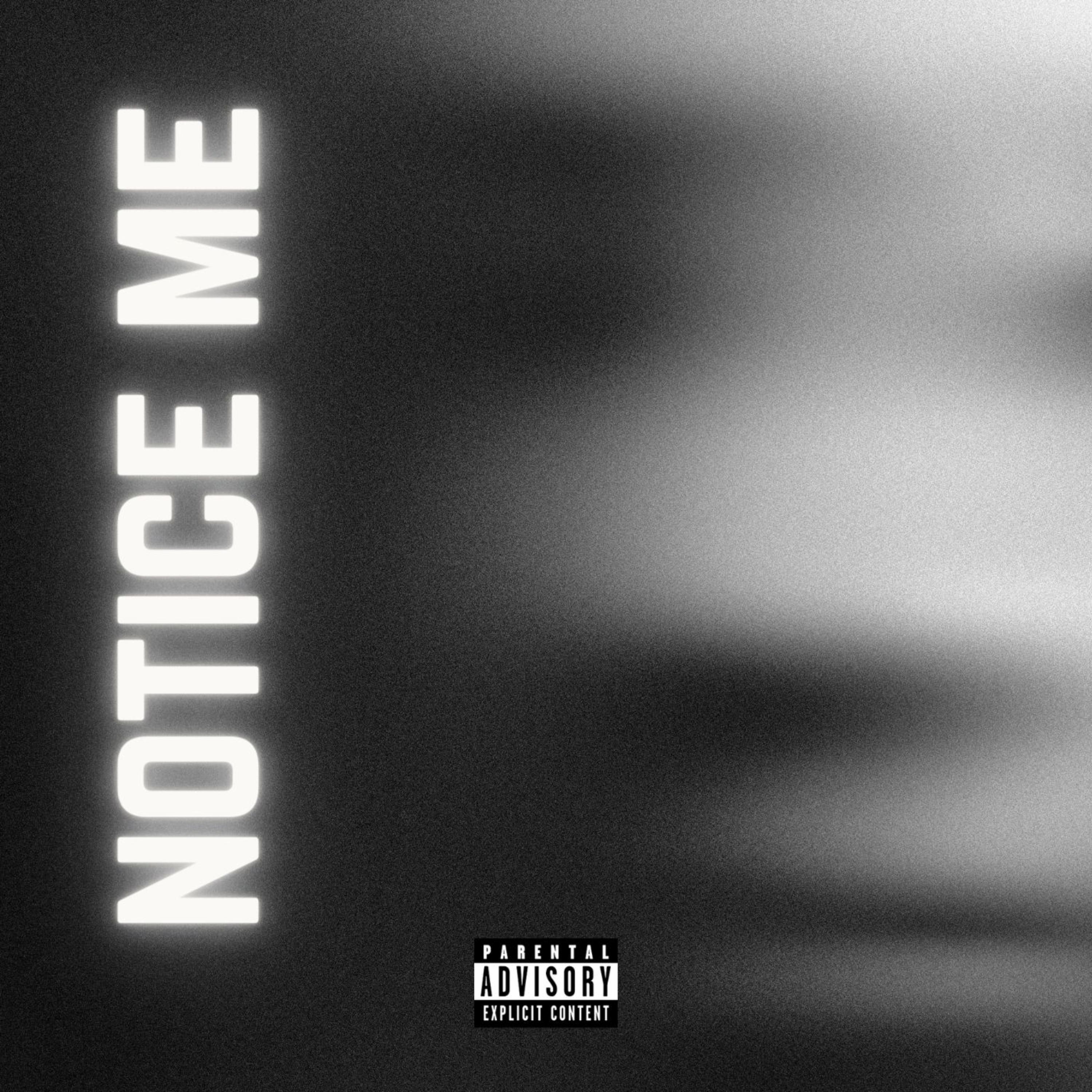 Notice Me artwork