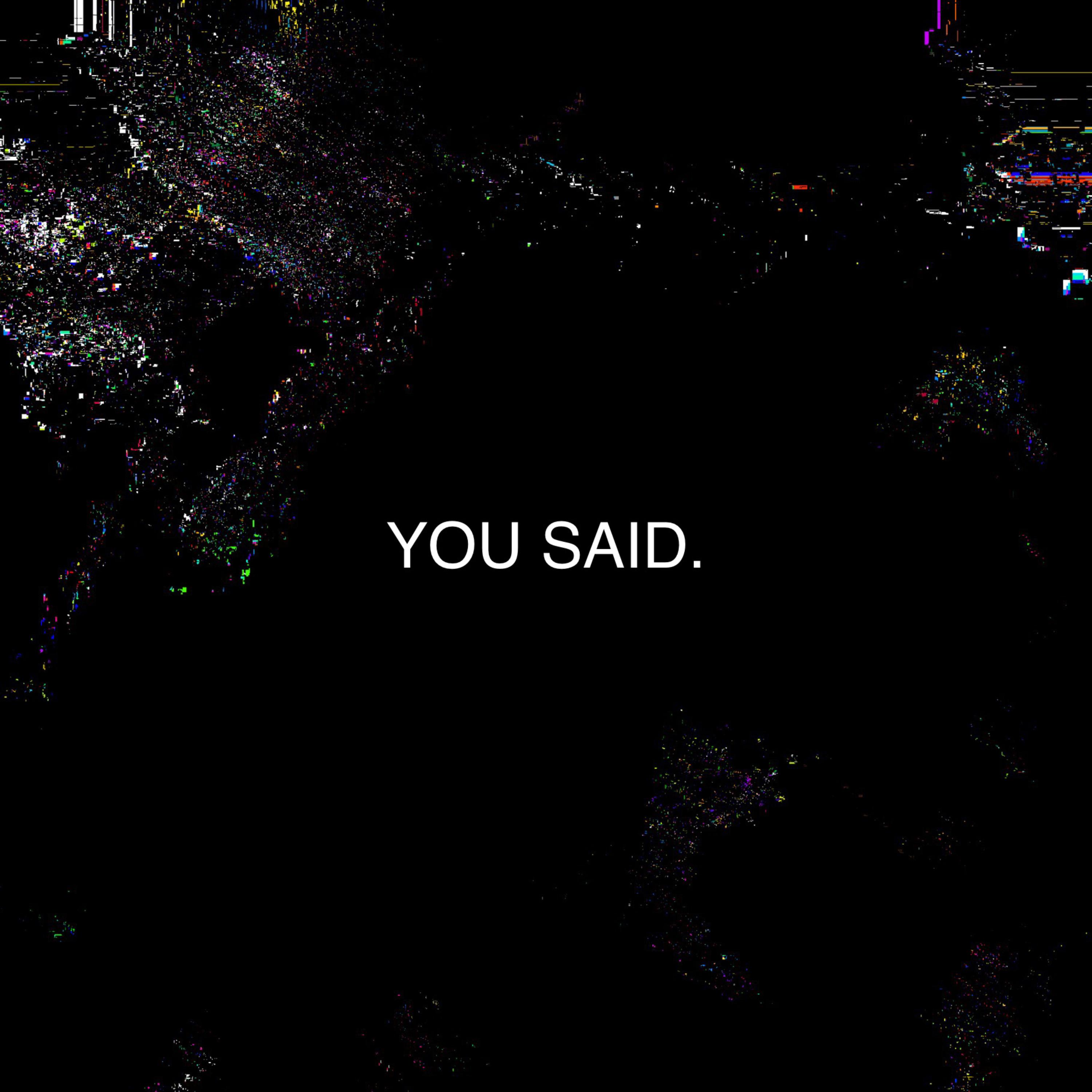 YOU SAID artwork
