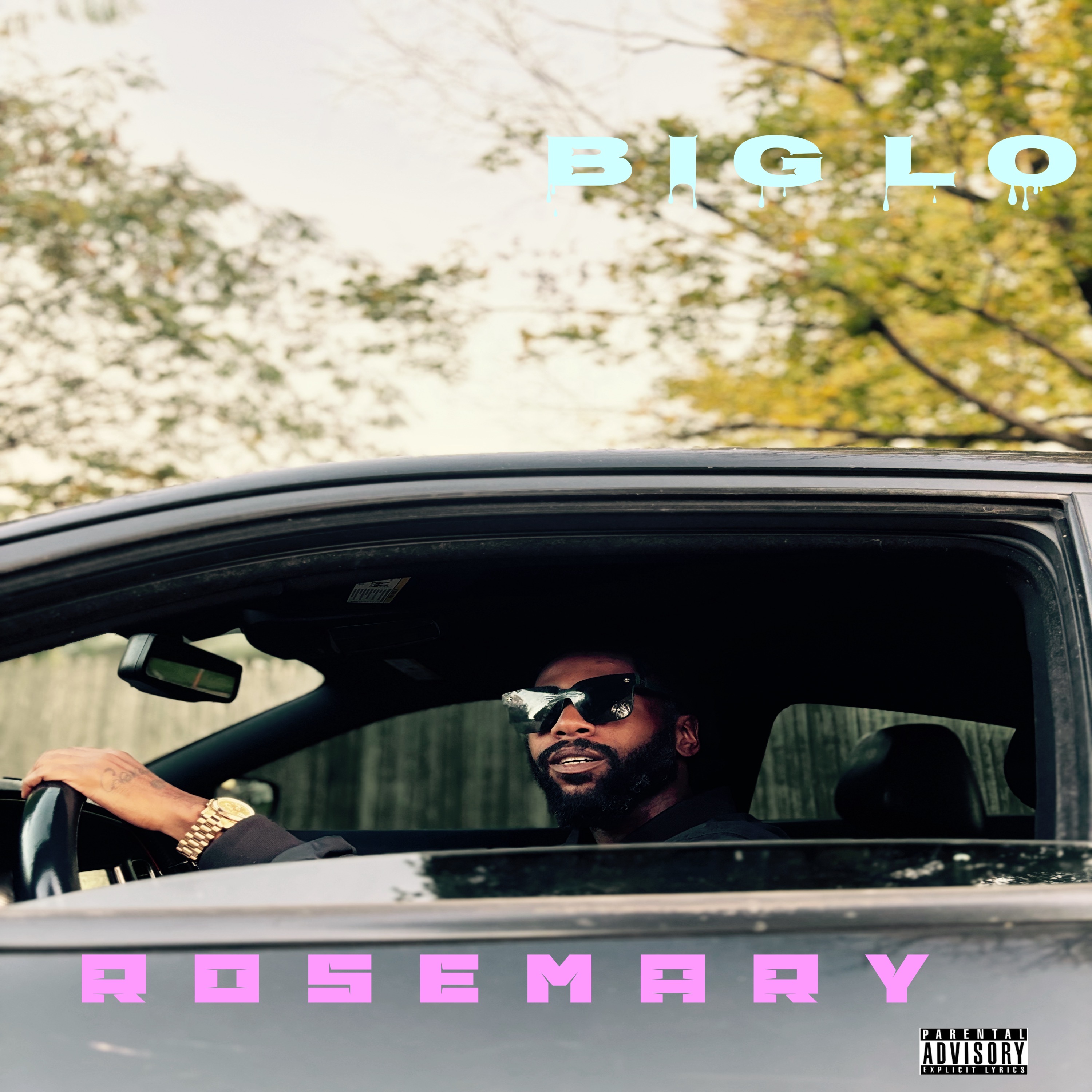 ROSEMARY artwork