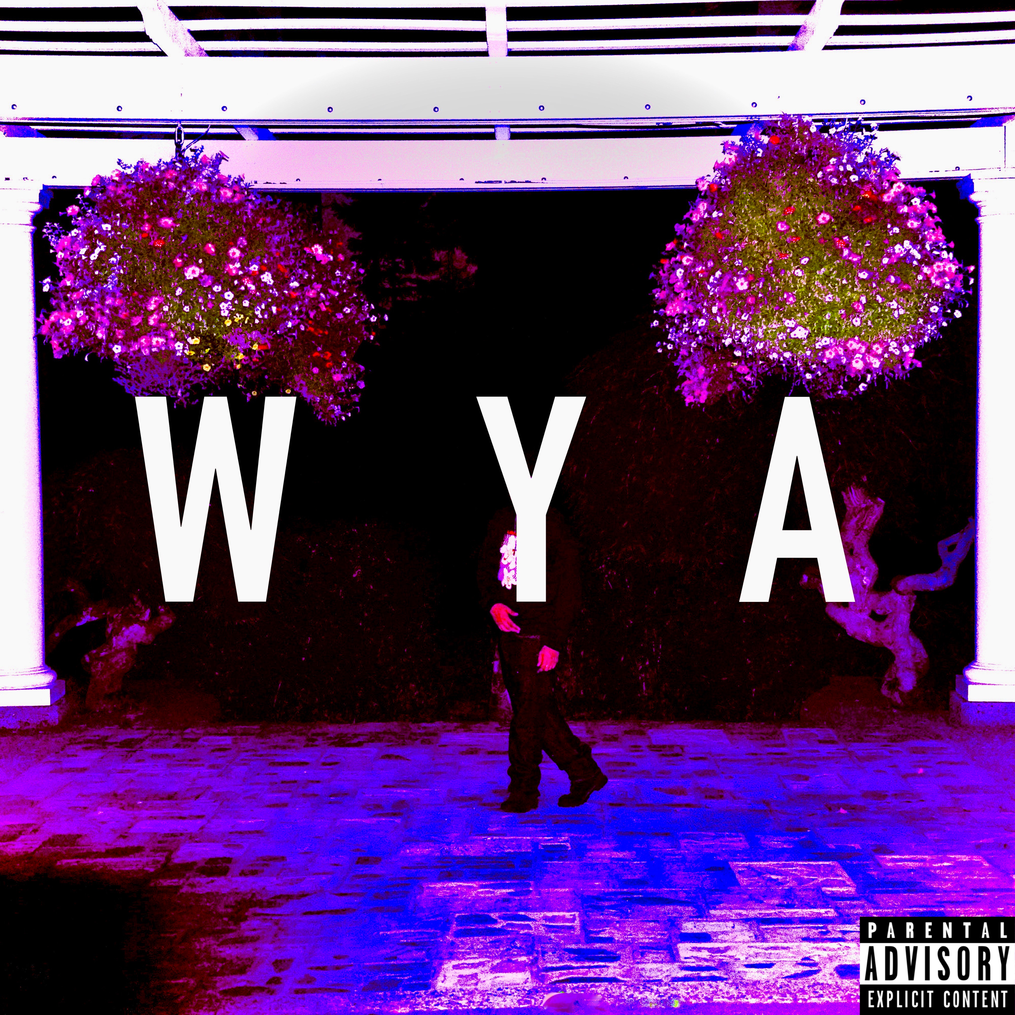 WYA by Ian Finesse cover art