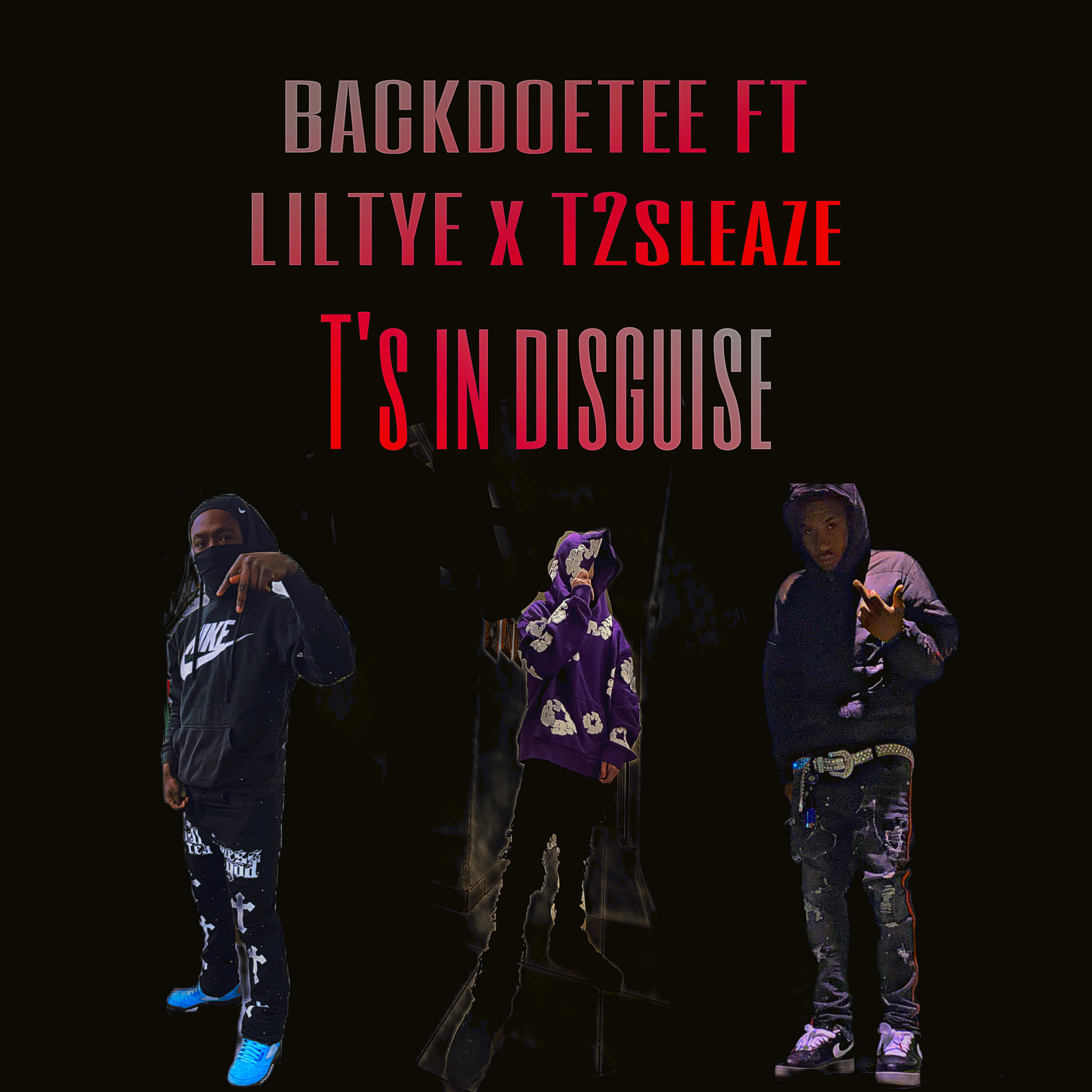 T’s In Disguise artwork