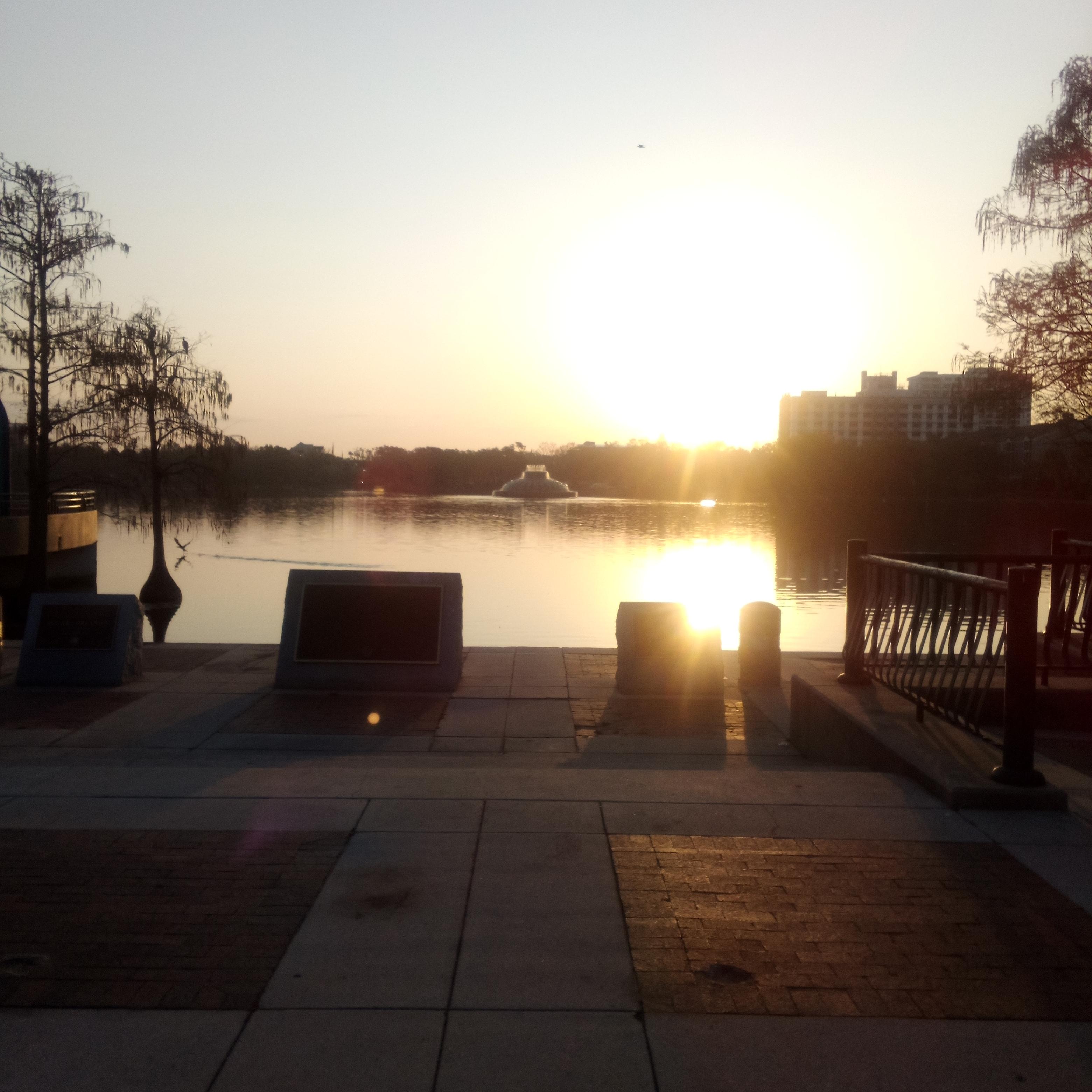 Bio Atto Nucleus artwork