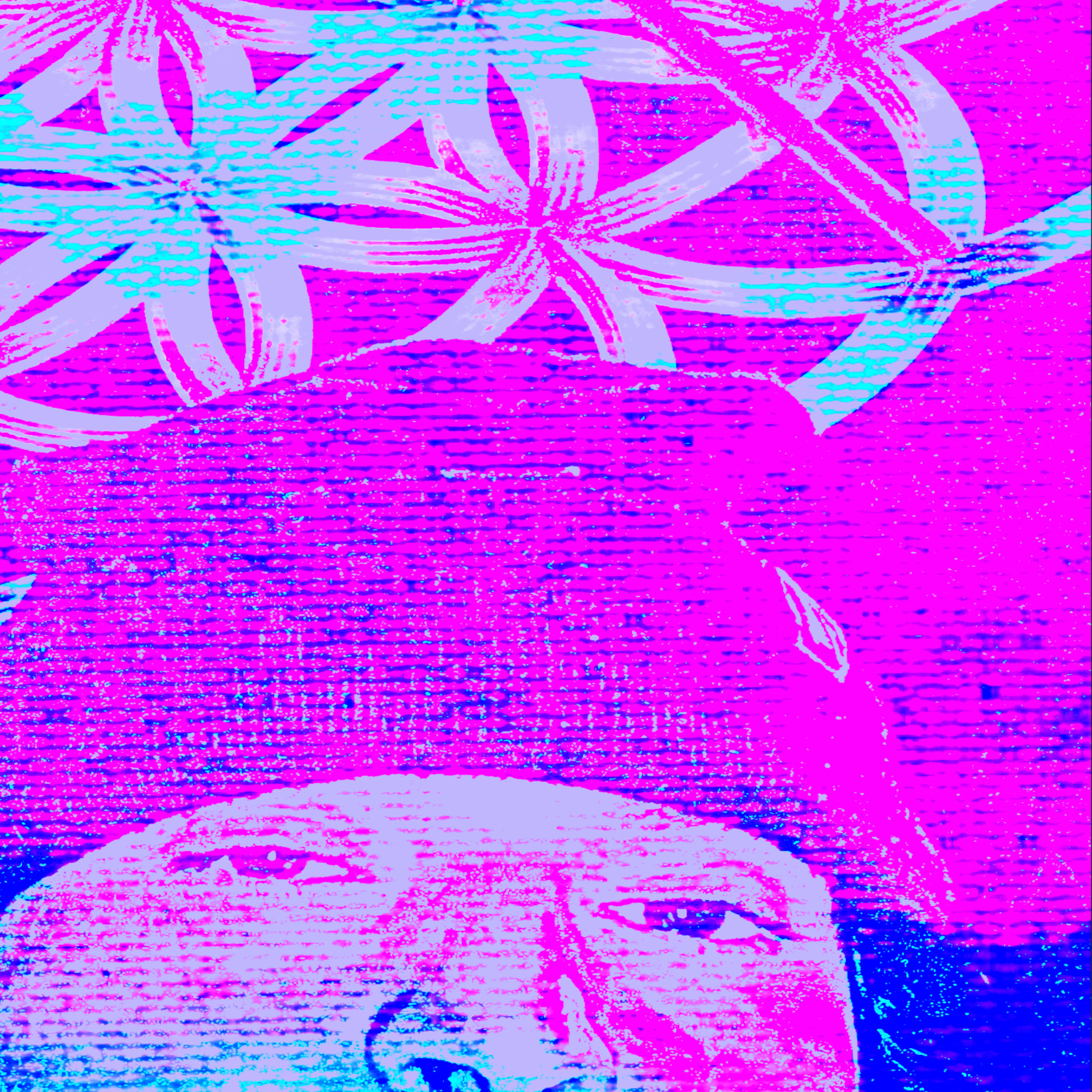 Like Screw House artwork