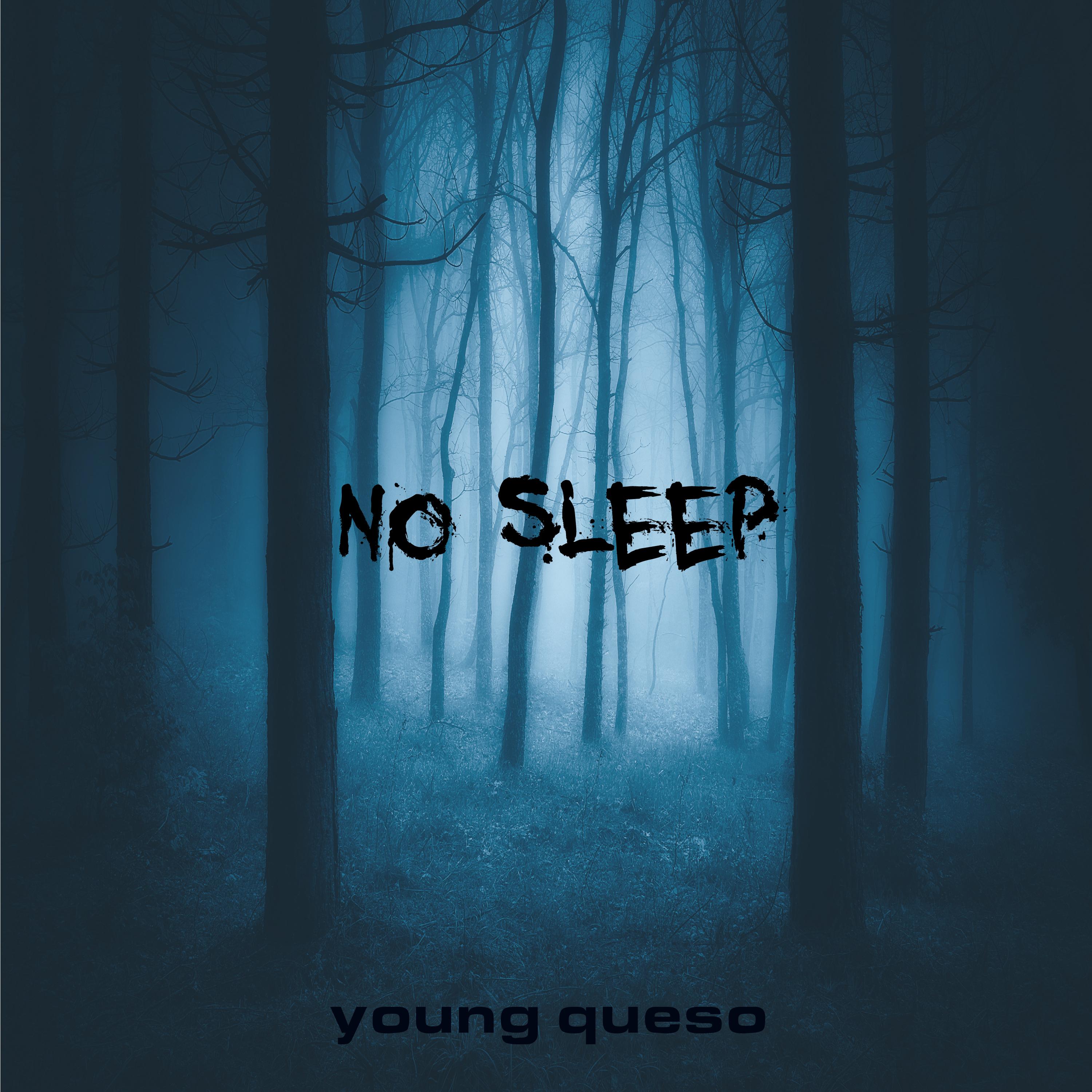 no sleep artwork