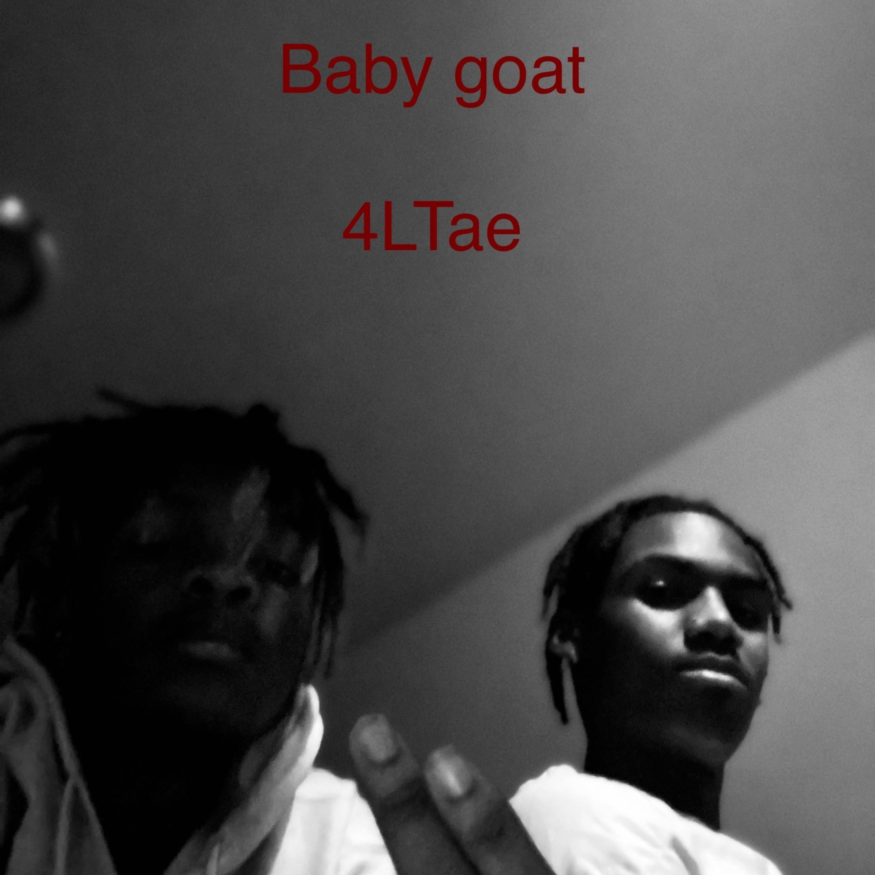 Baby Goat artwork