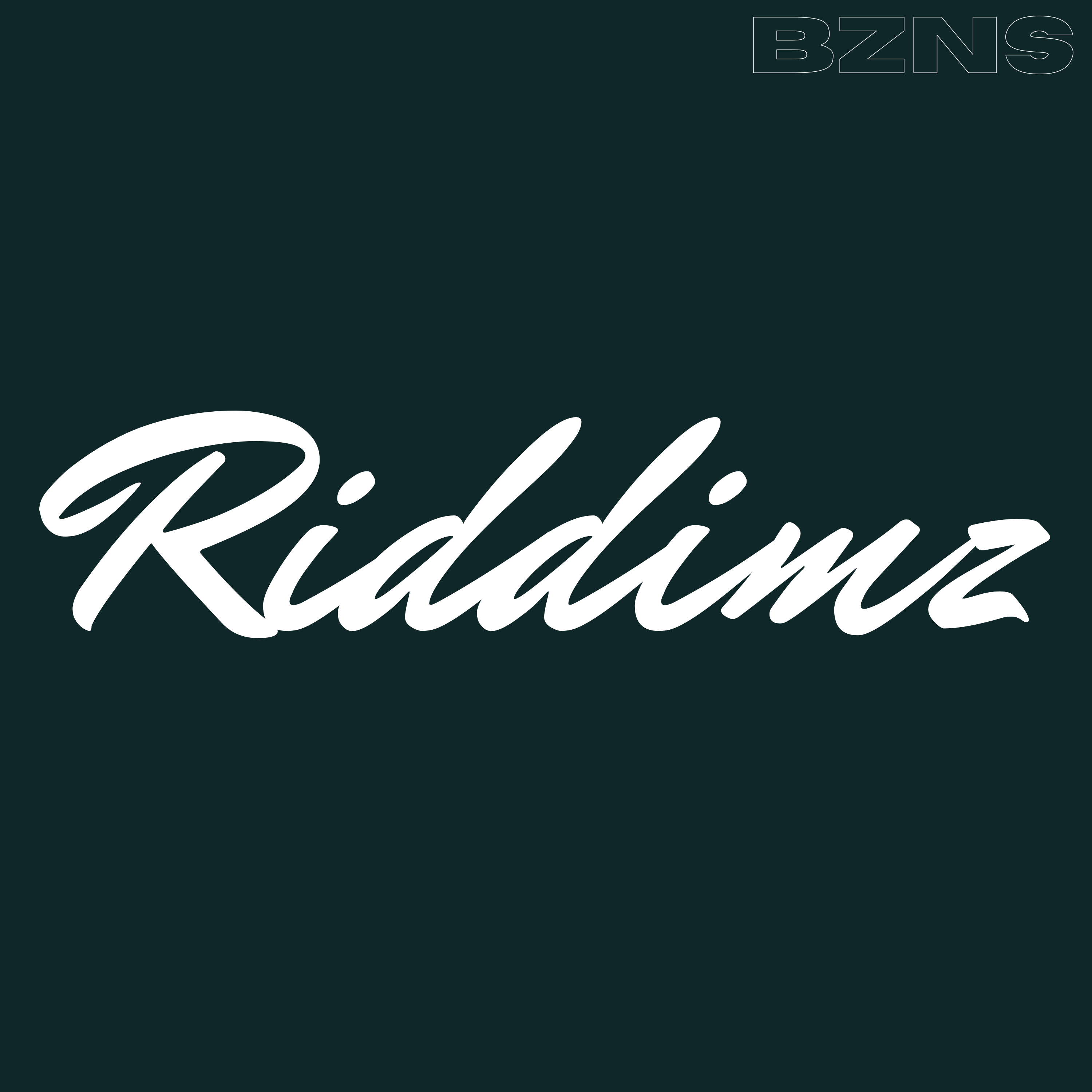 Riddimz artwork