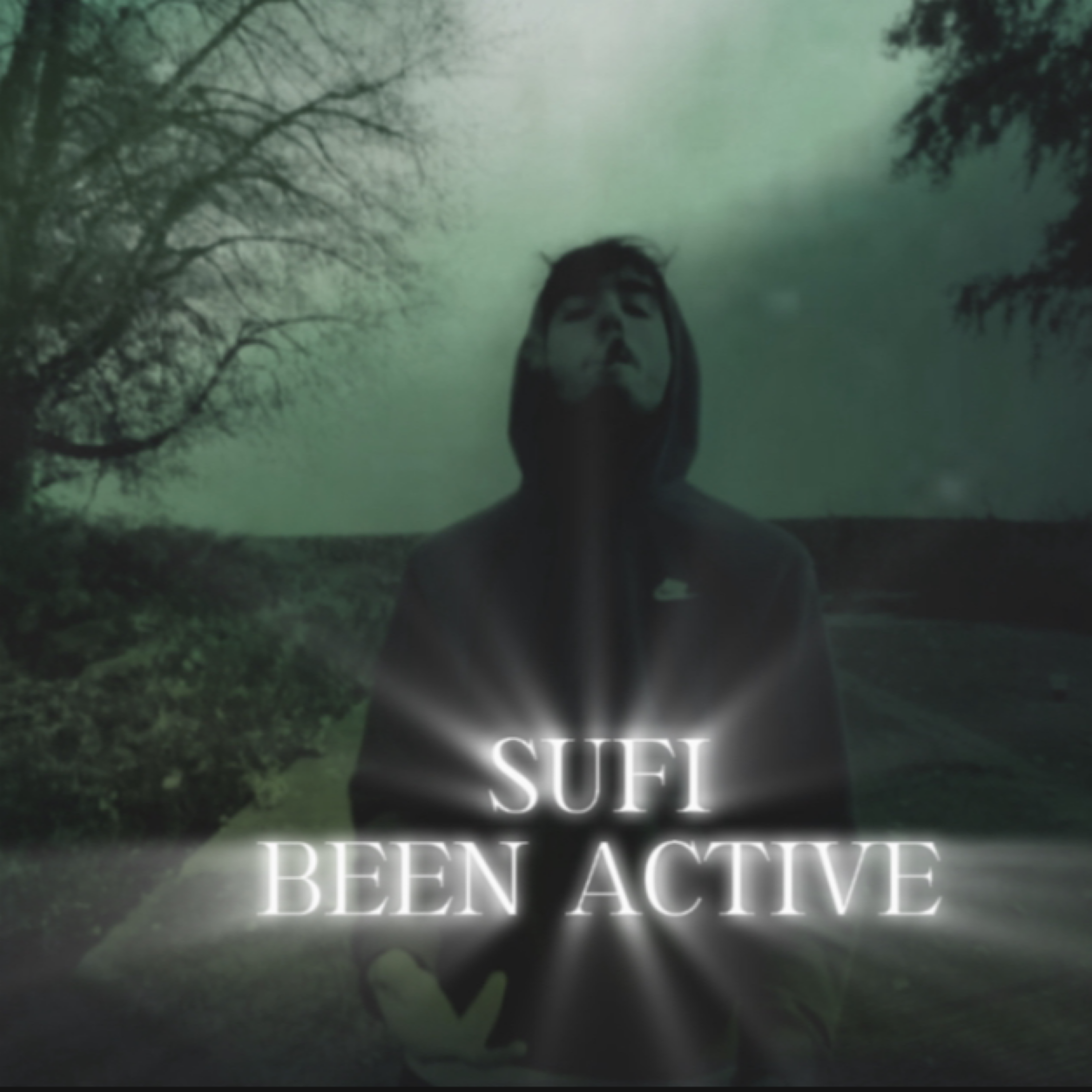 Been Active artwork