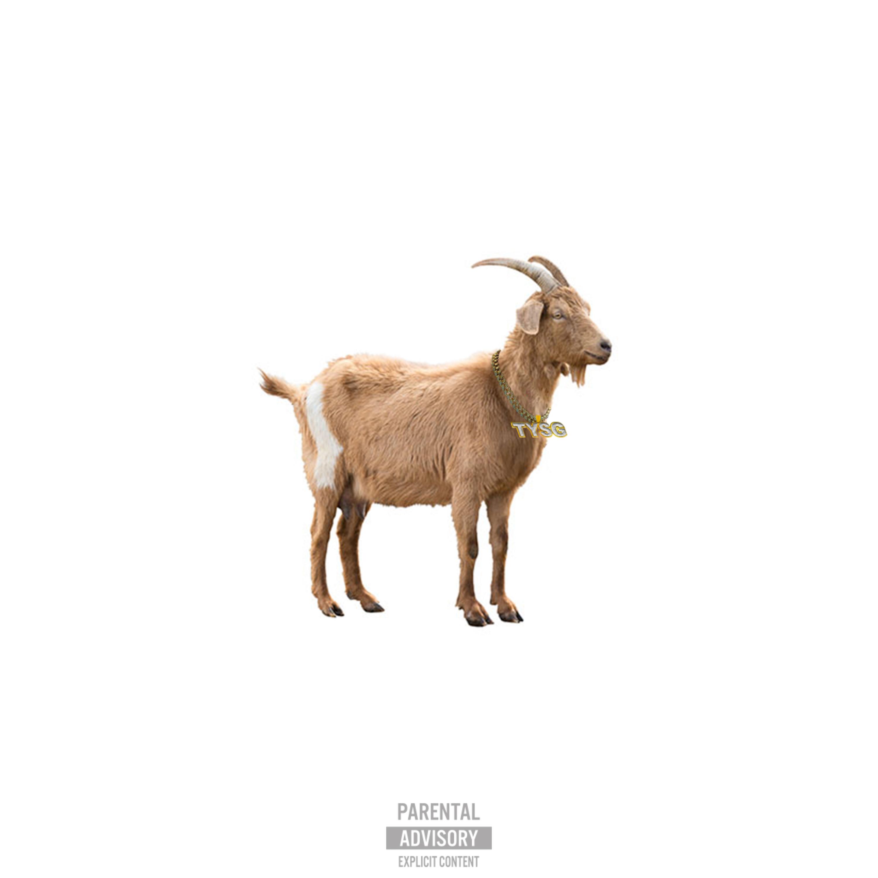Goat Talk artwork