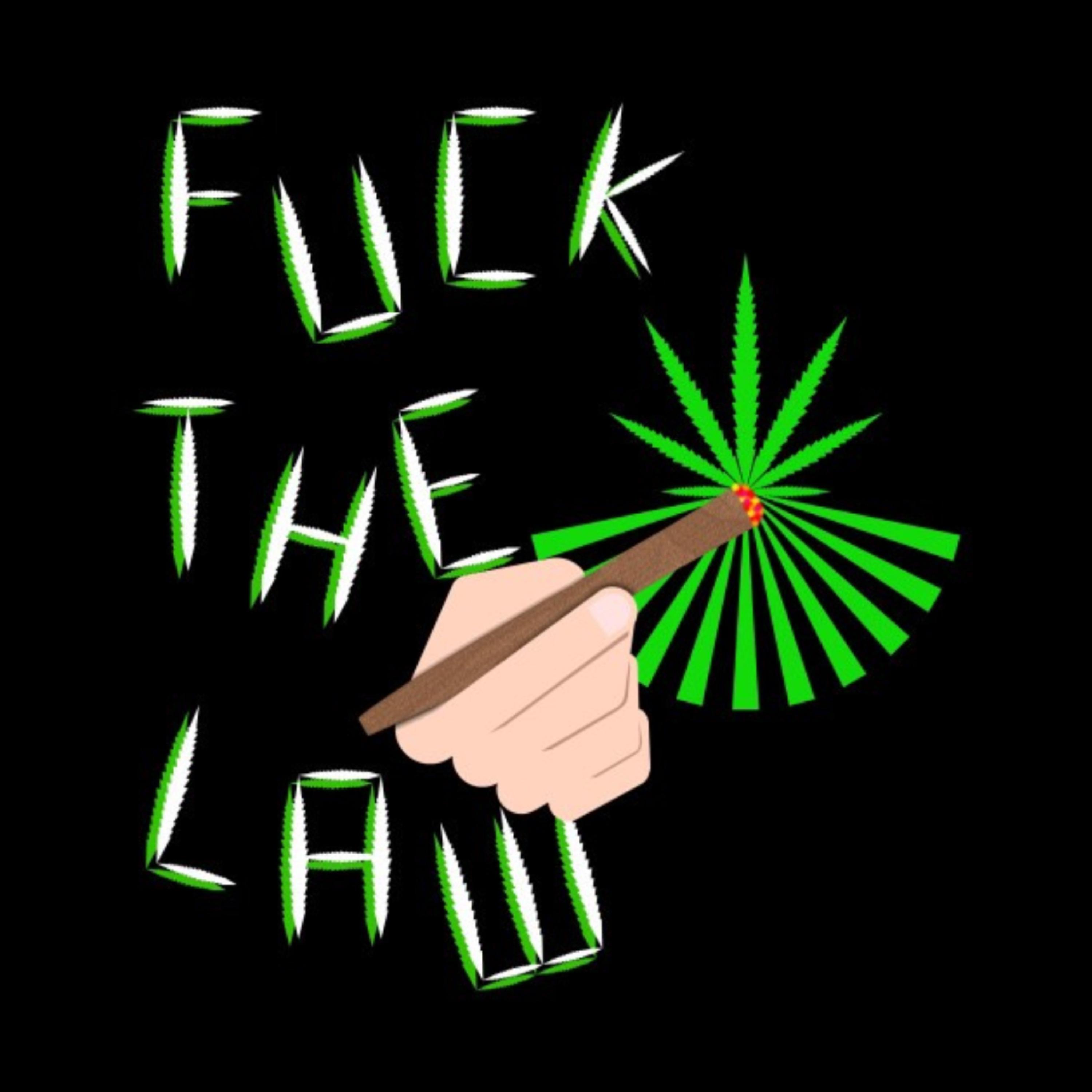 Fuck The Law by Elmario20Bands  cover art