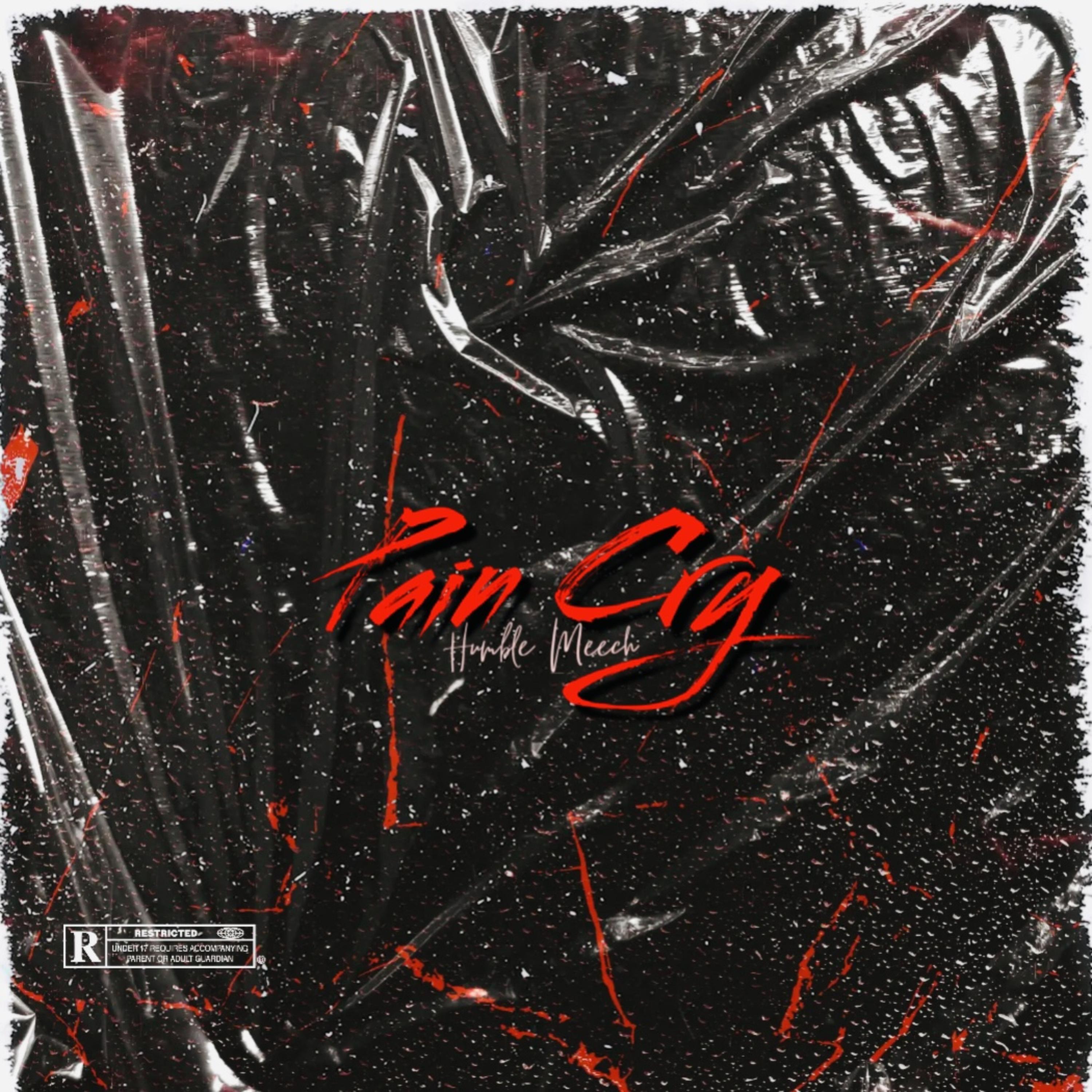 Pain Cry artwork