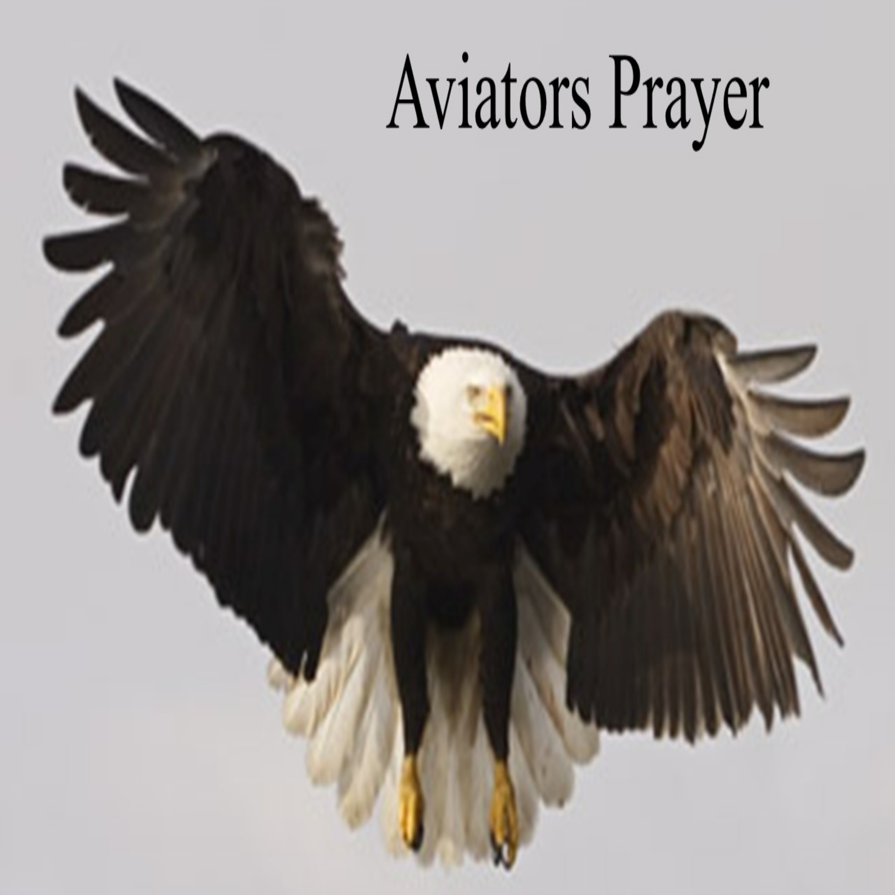 Aviators Prayer artwork