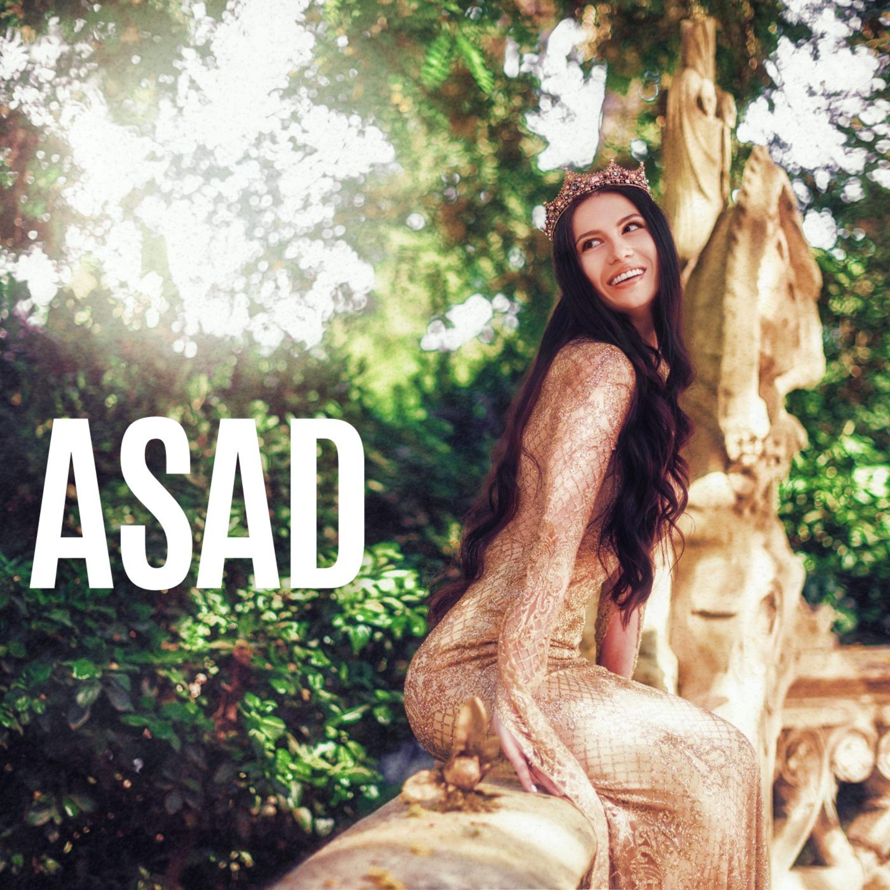 Asad (Oriental Trap Instrumental) artwork