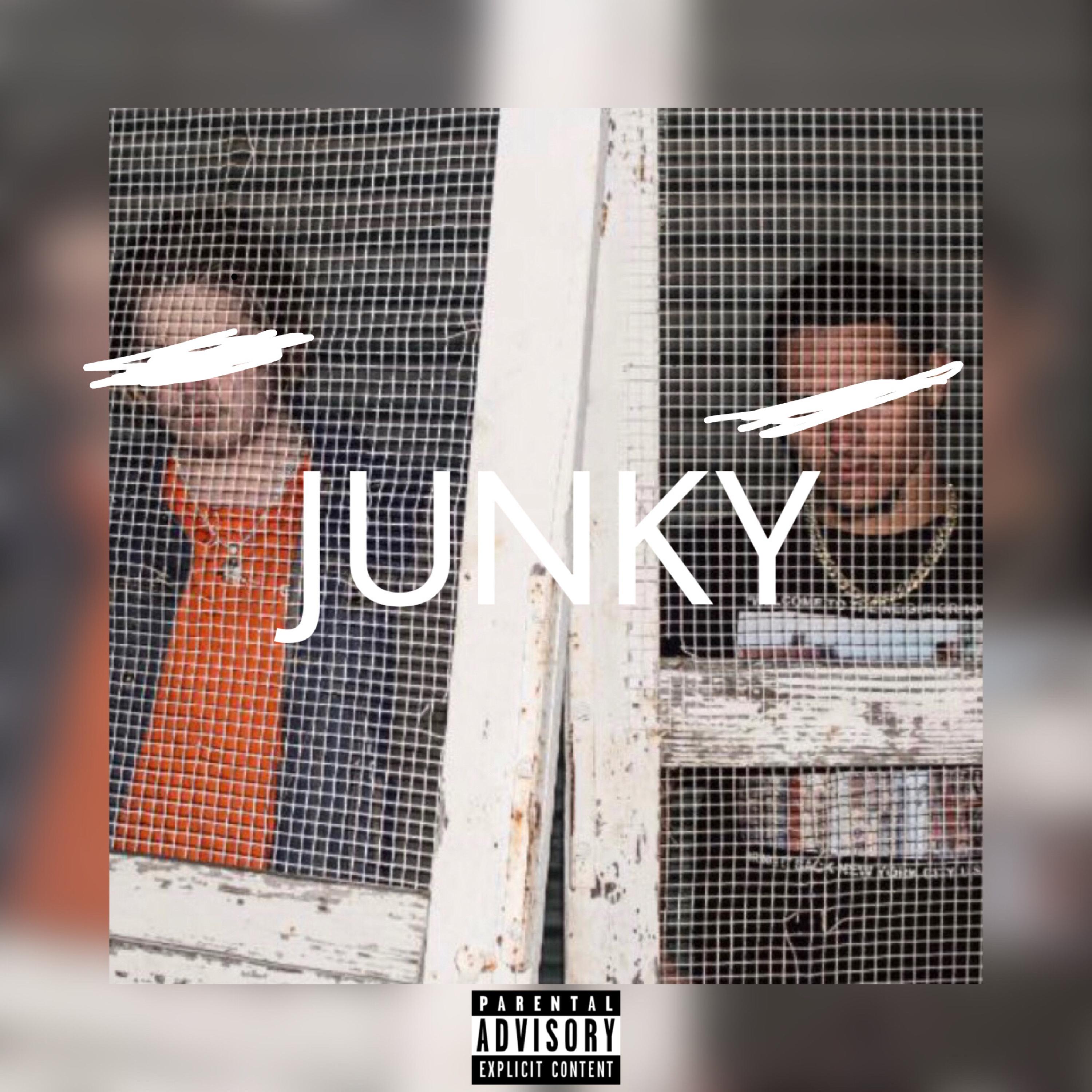 JUNKY artwork
