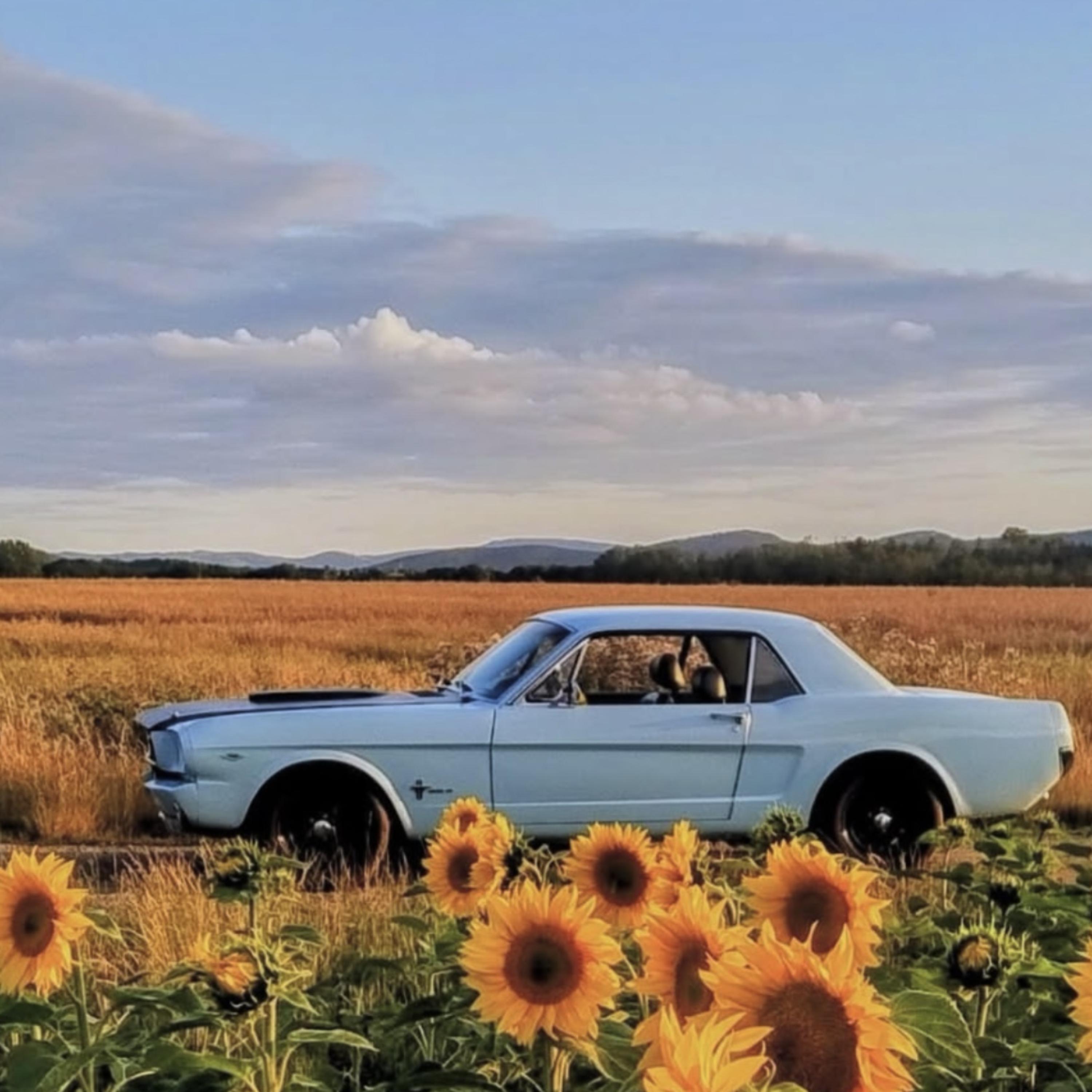 V8 artwork