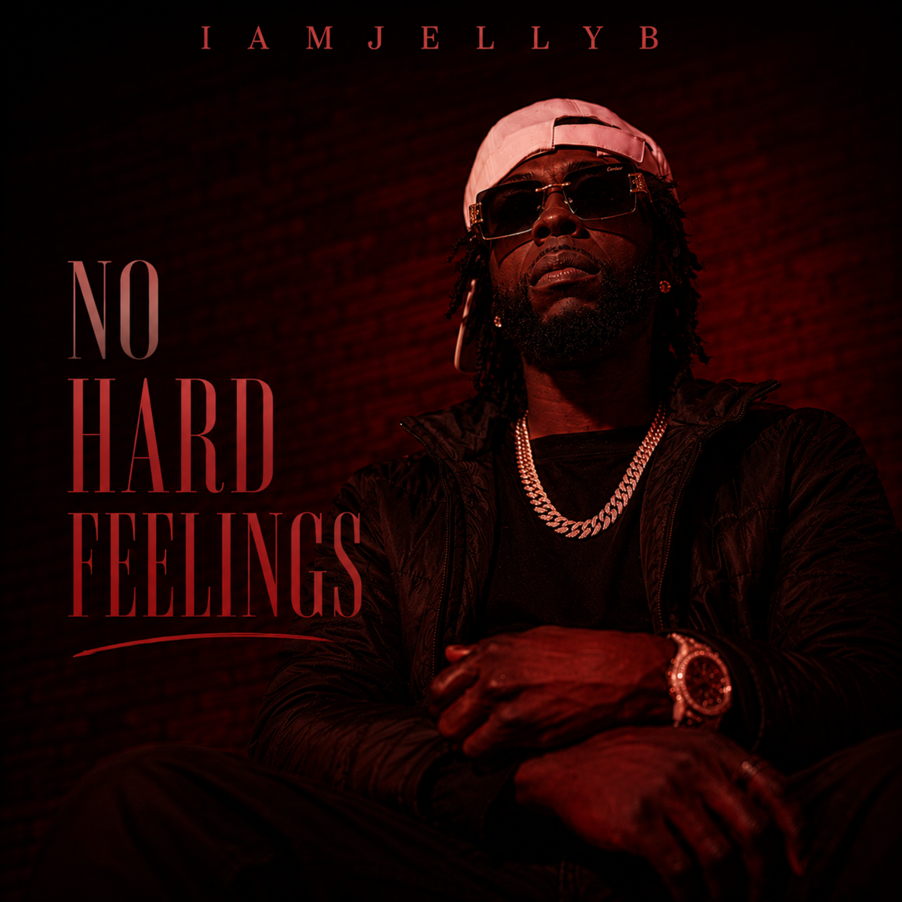 NO HARD FEELINGS by Iamjellyb cover art