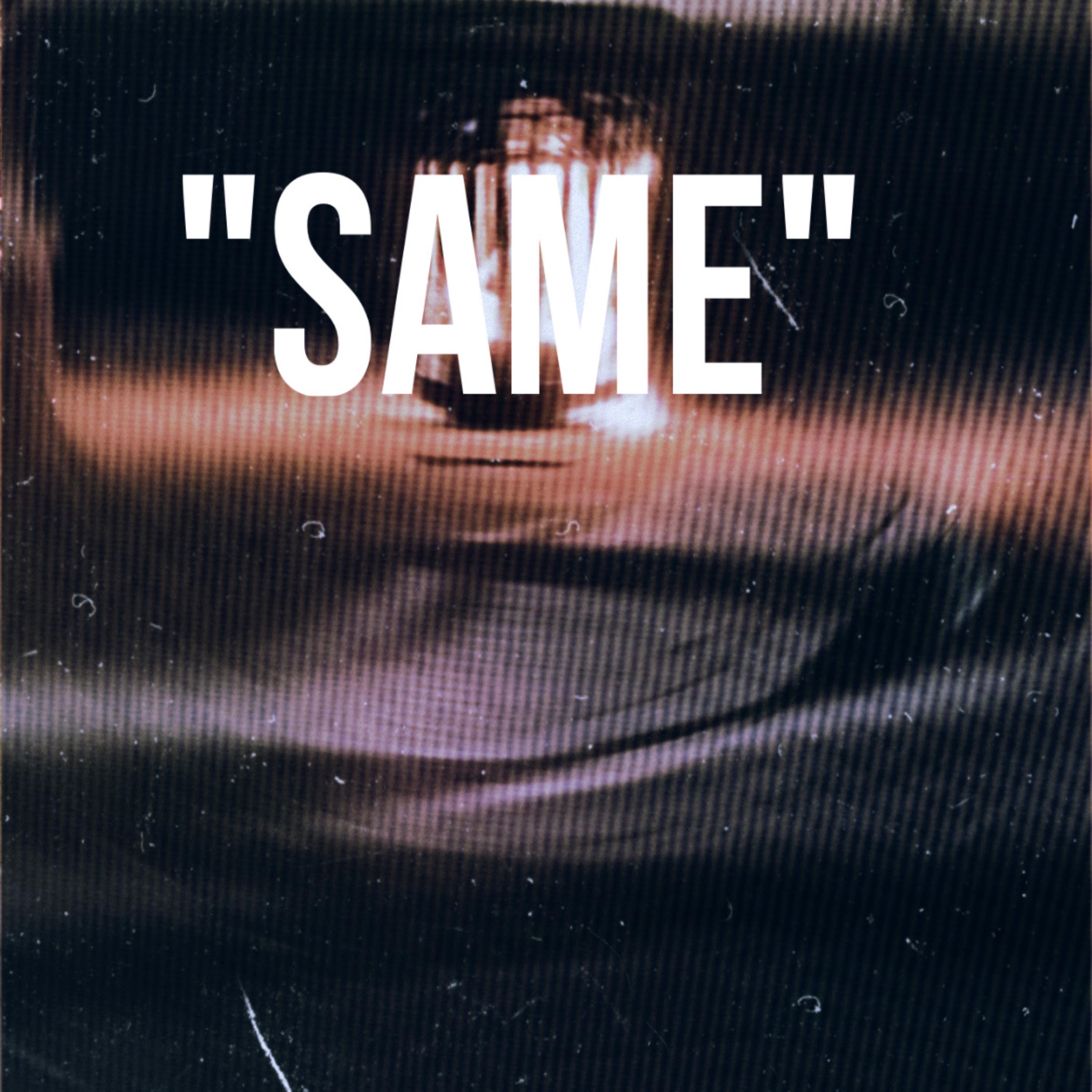 SAME artwork