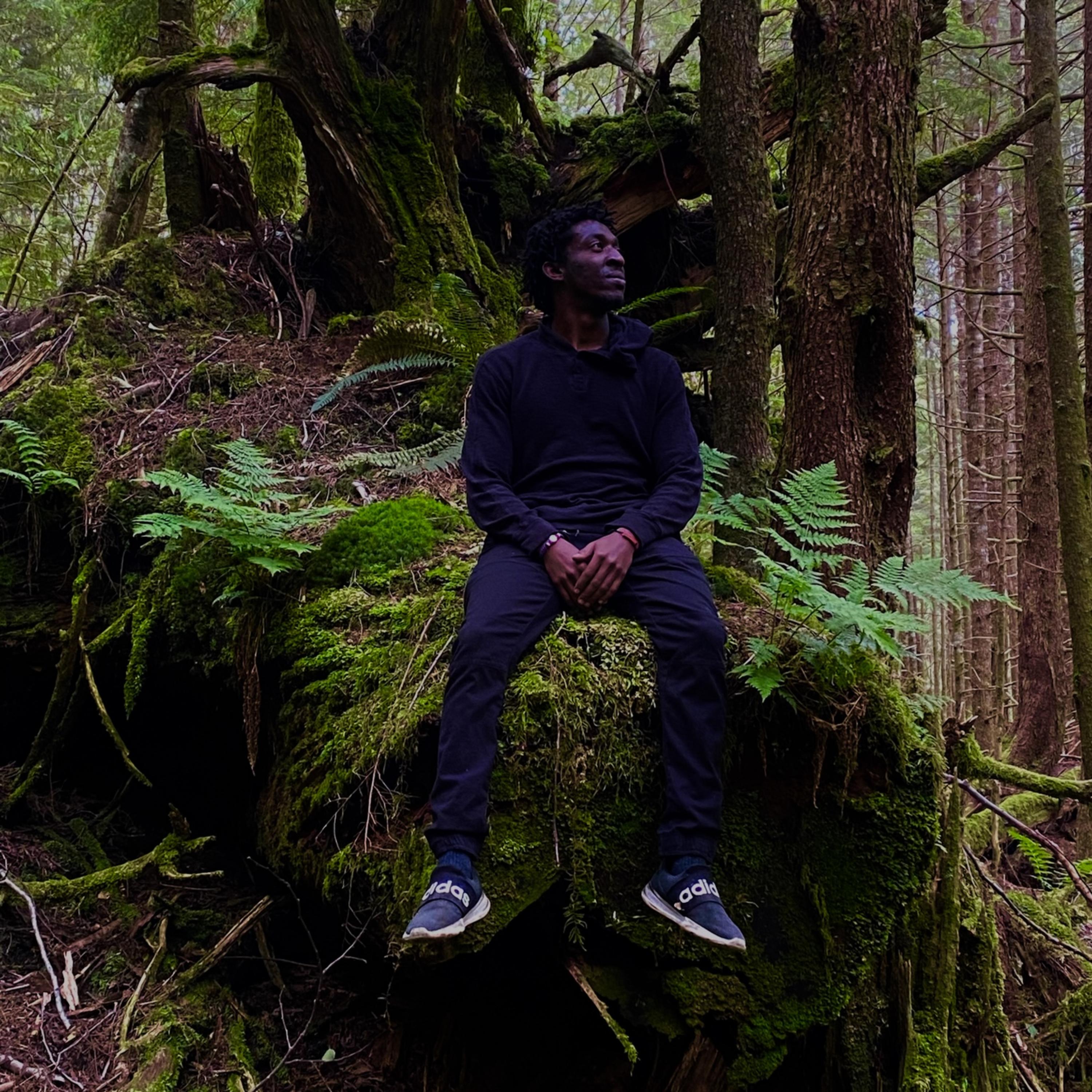 Bonus Tracks artwork