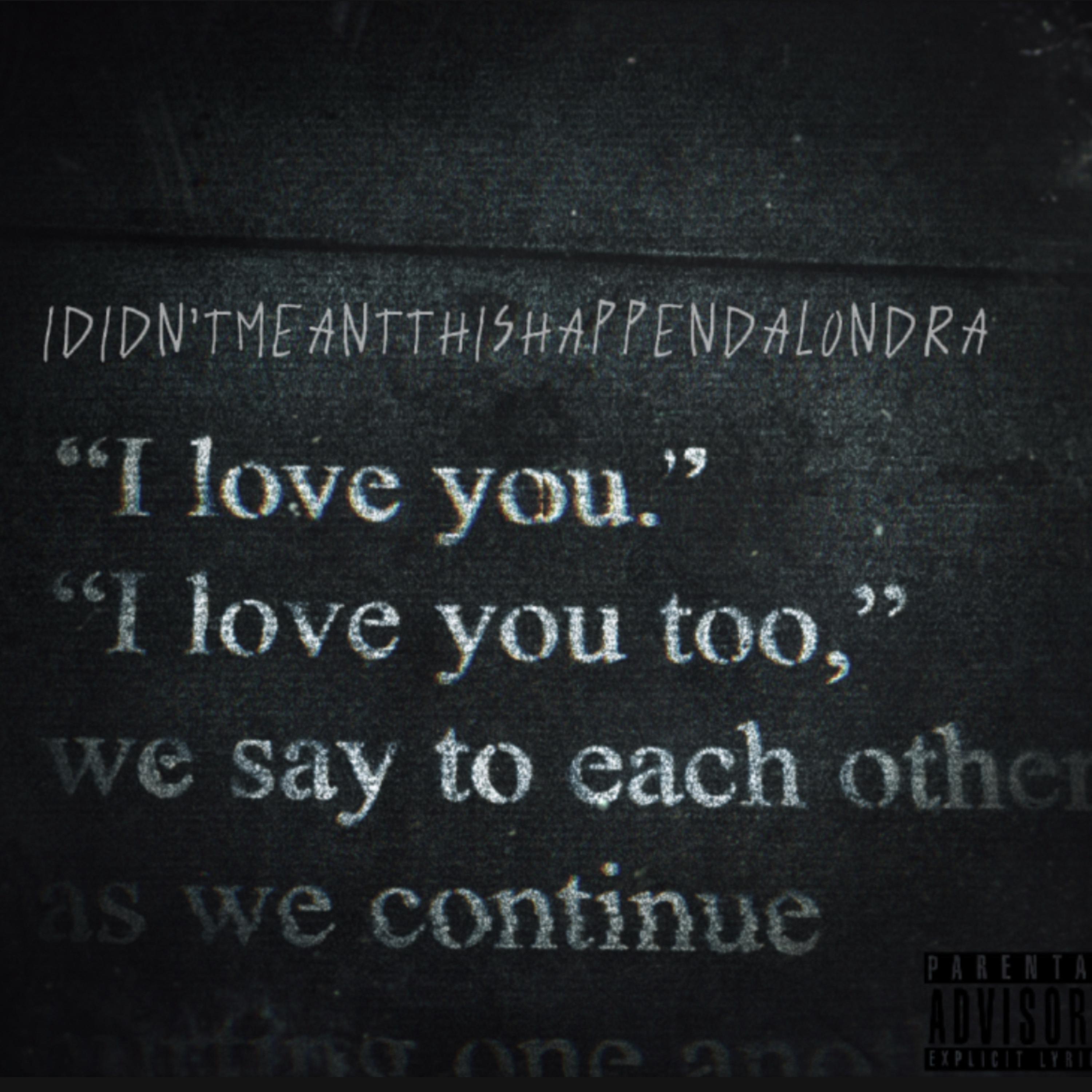 IDIDN’TMEANTHISHAPPENALONDRA artwork