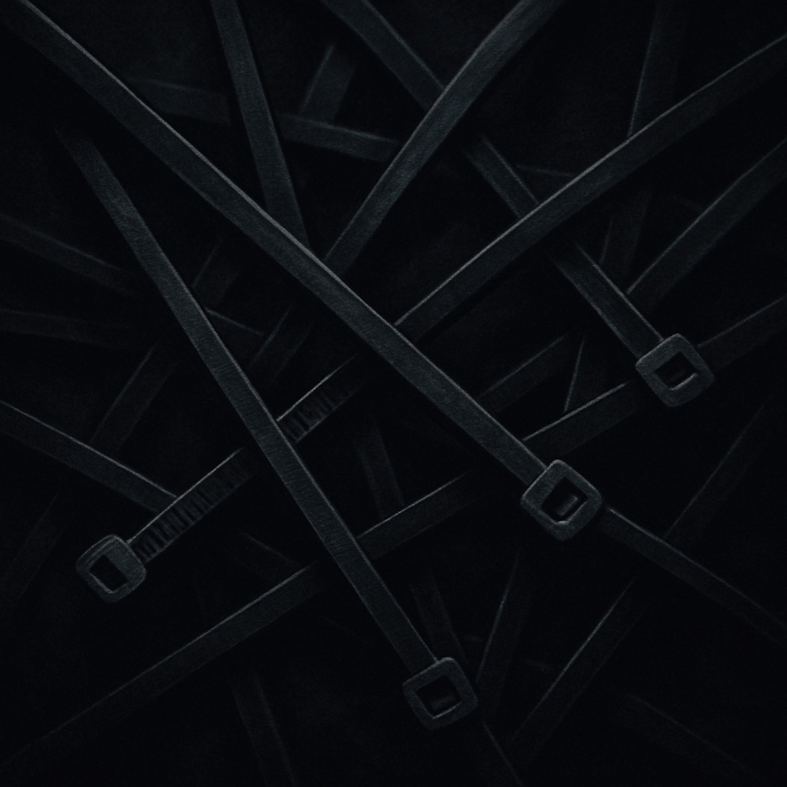 Zipties artwork