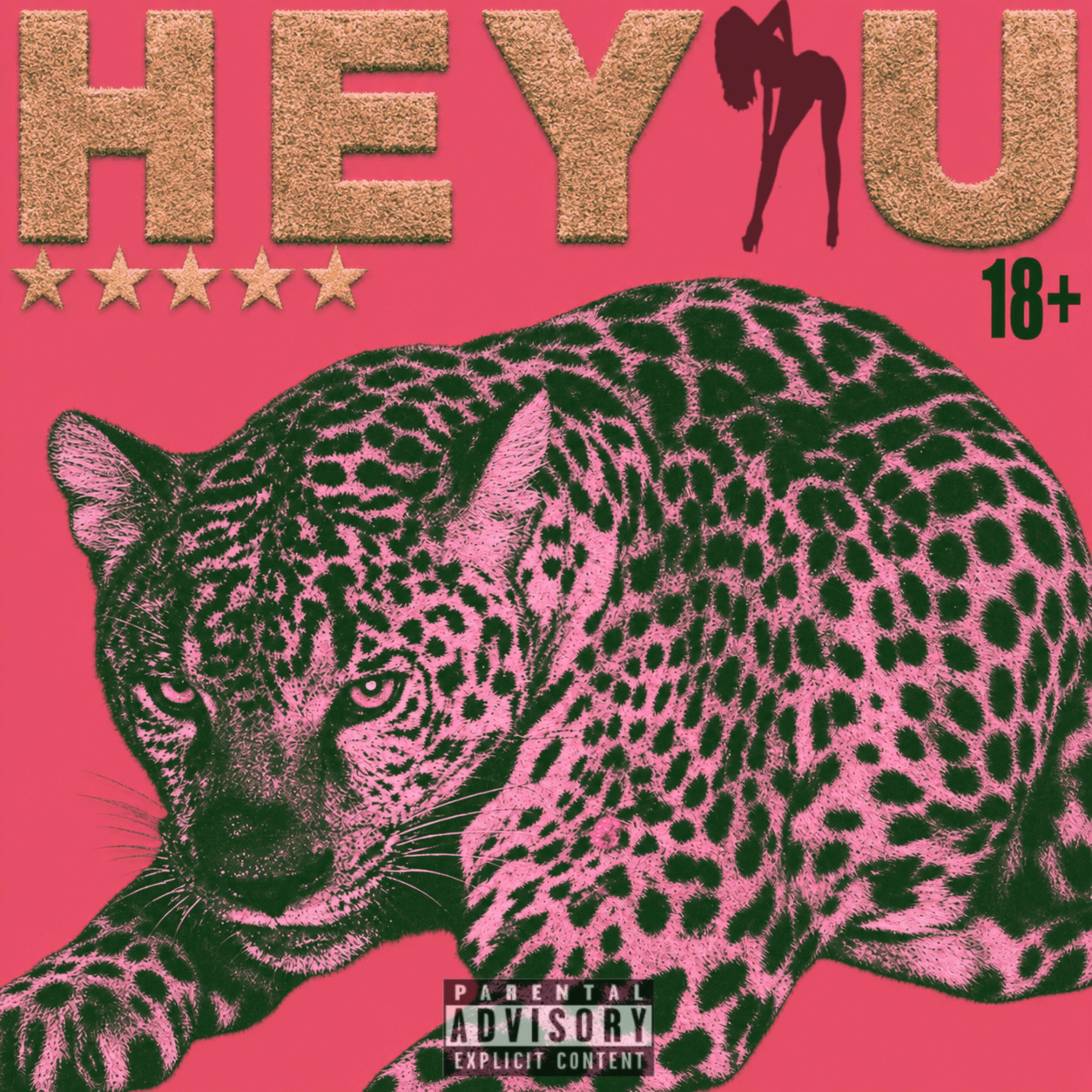 HEY U by PDC cover art